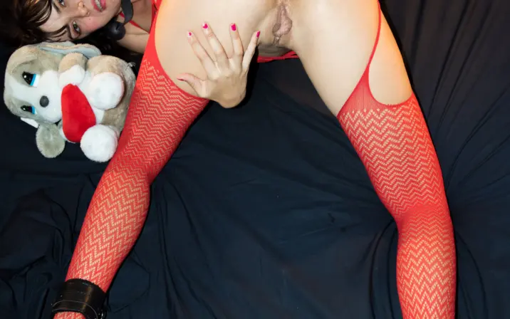 Nayade Fox