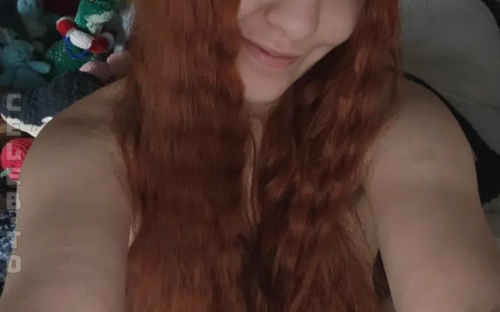 thecutestuffedanimal