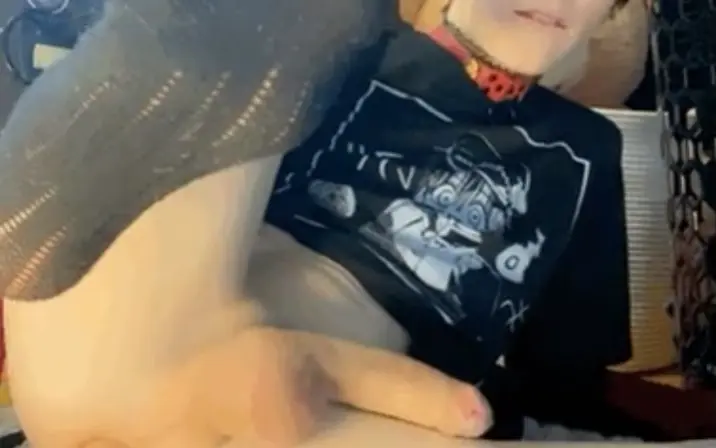 femboixd/kittyboitrap