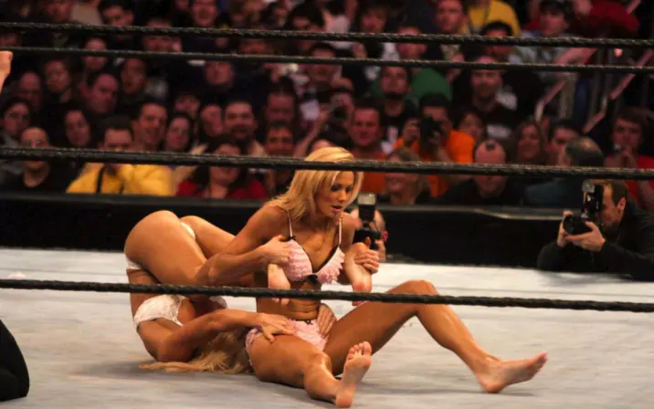 WWE Torrie Wilson