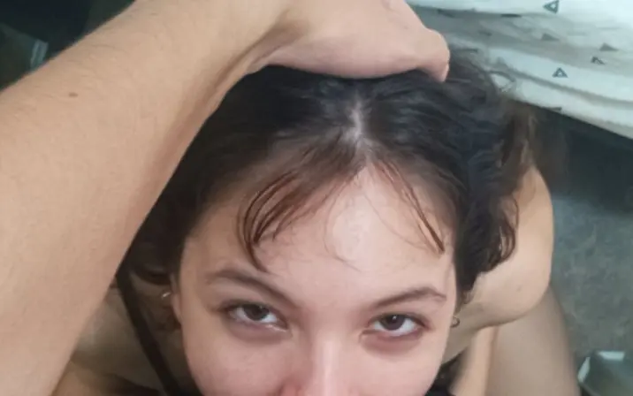 Aster / asterzinhaxxx