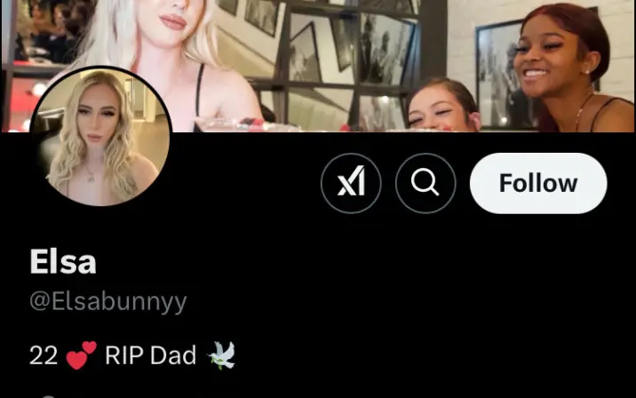 Elsabunnyy/Saintsnow