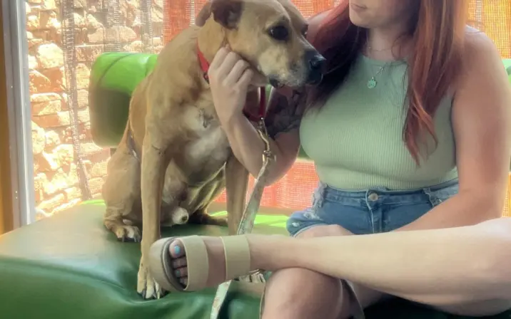 RENEE, Renee Reynosa