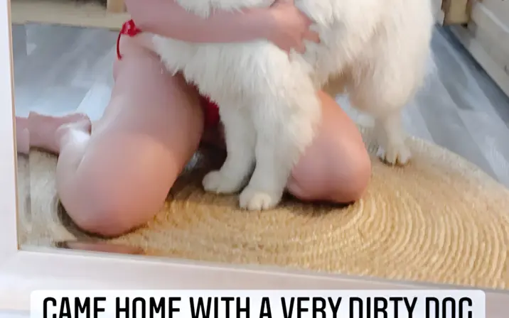 Foxyzilla