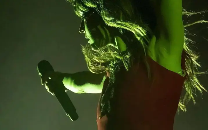 Lauren Mayberry (Singer)