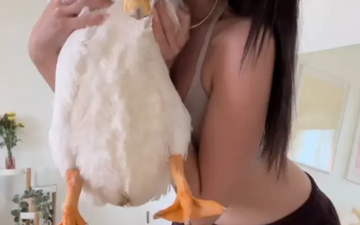 yyyudy / yudyandaflak / udeeee