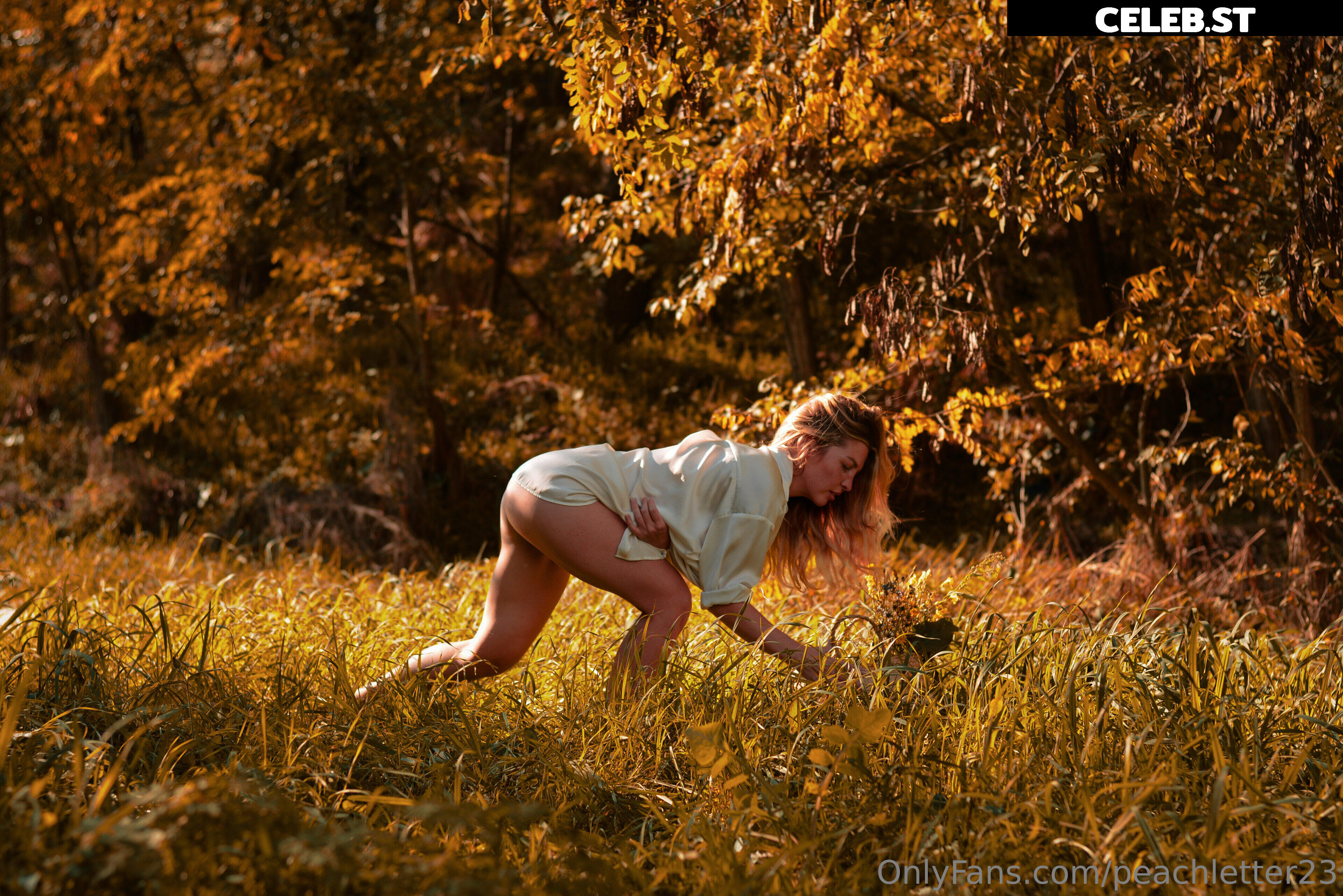 Peachletter23 Image 910893
