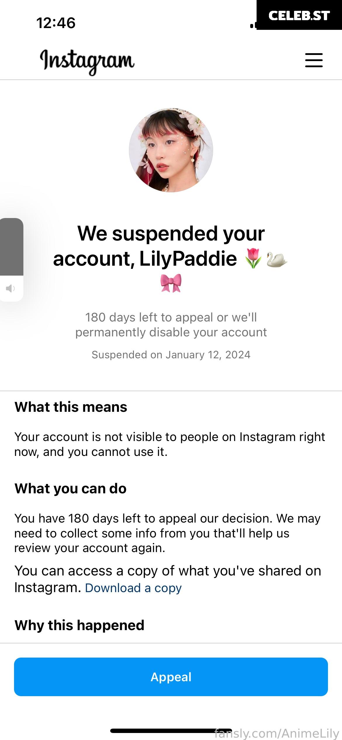 LilyPaddie Image 9245662