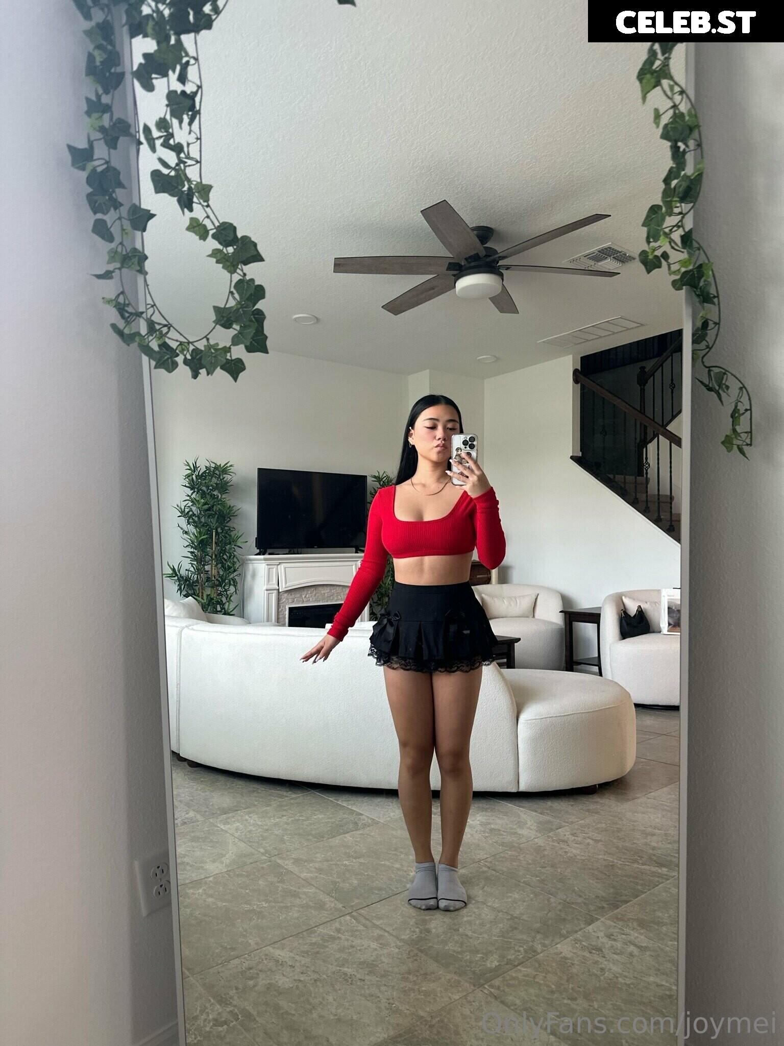 Joy Mei | joyymei | Joyce Zheng Image 9878248