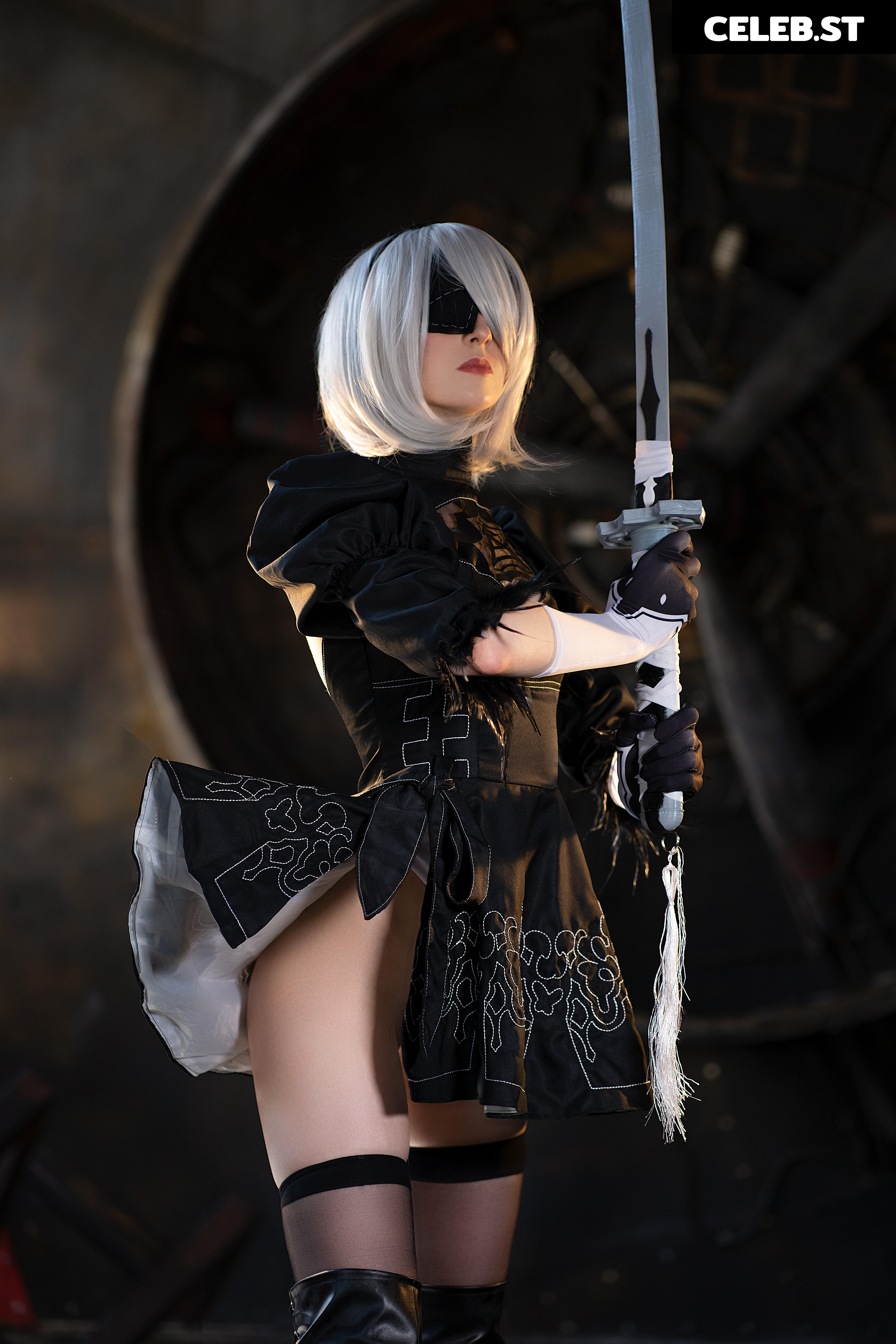 Axilirator Image 9864855