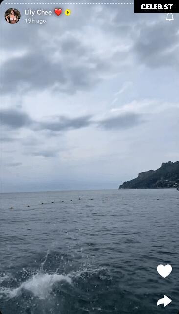 Lily Chee Image 9851918