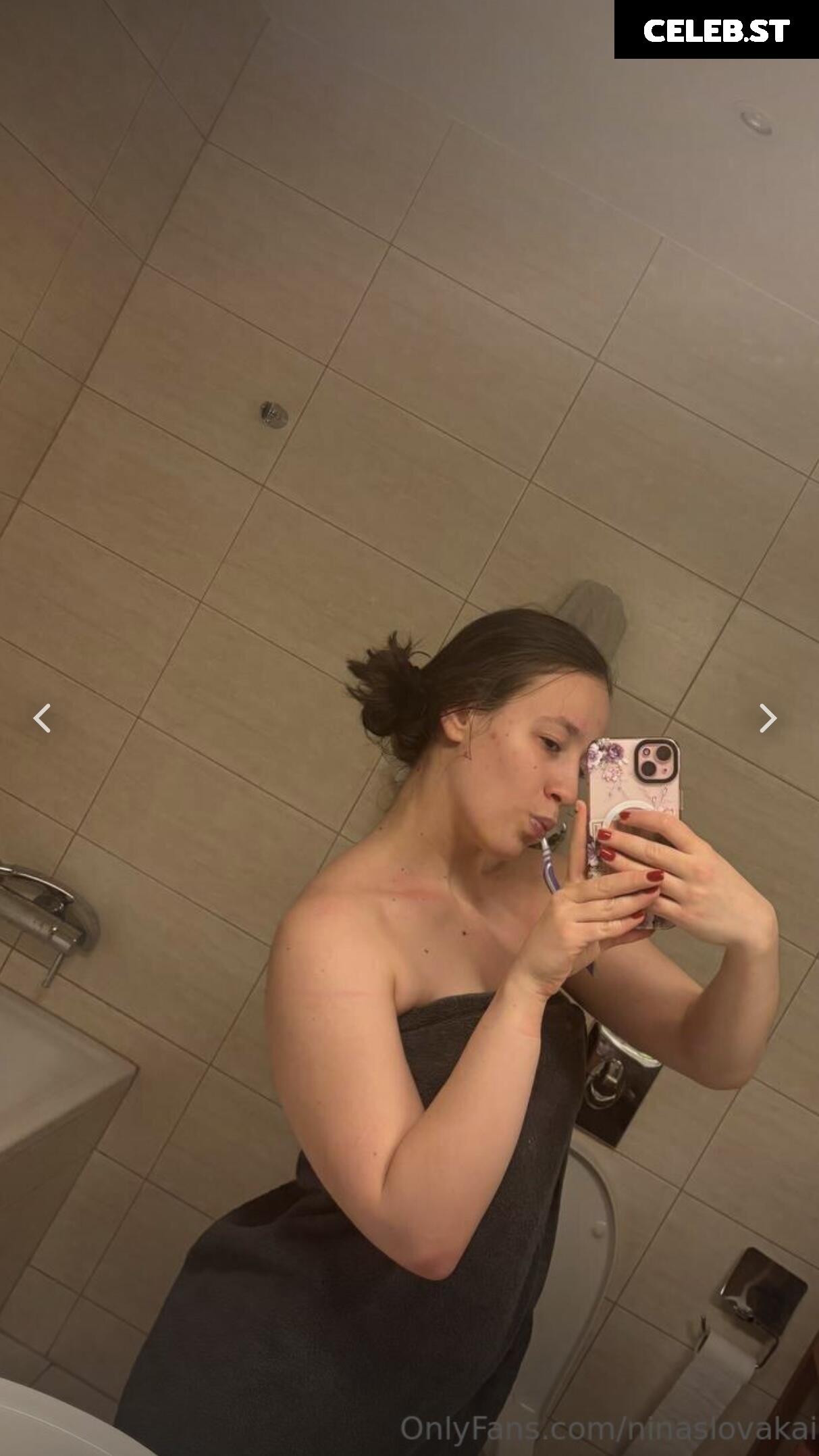 Ninaslovakai Image 9848009