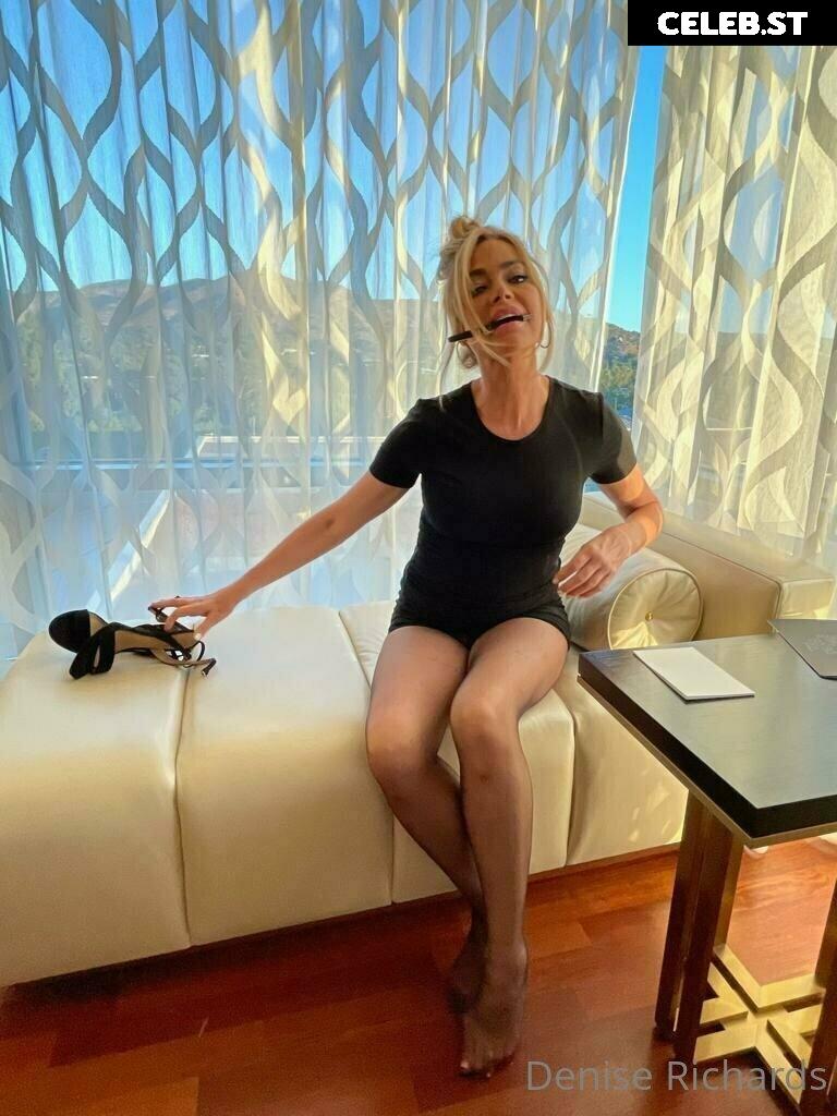 Denise Richards Image 9822221