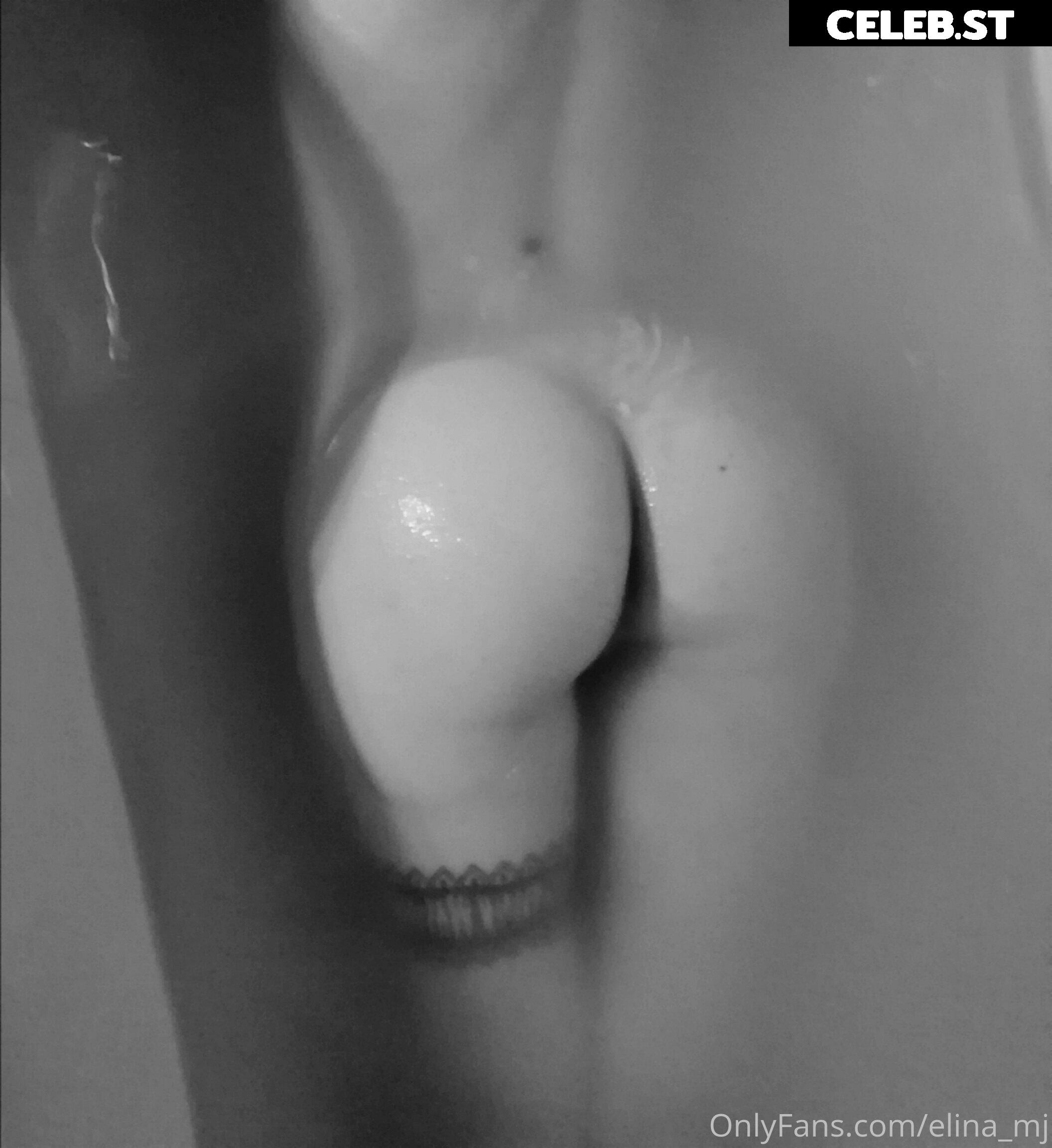 Elina_mj Image 9815741