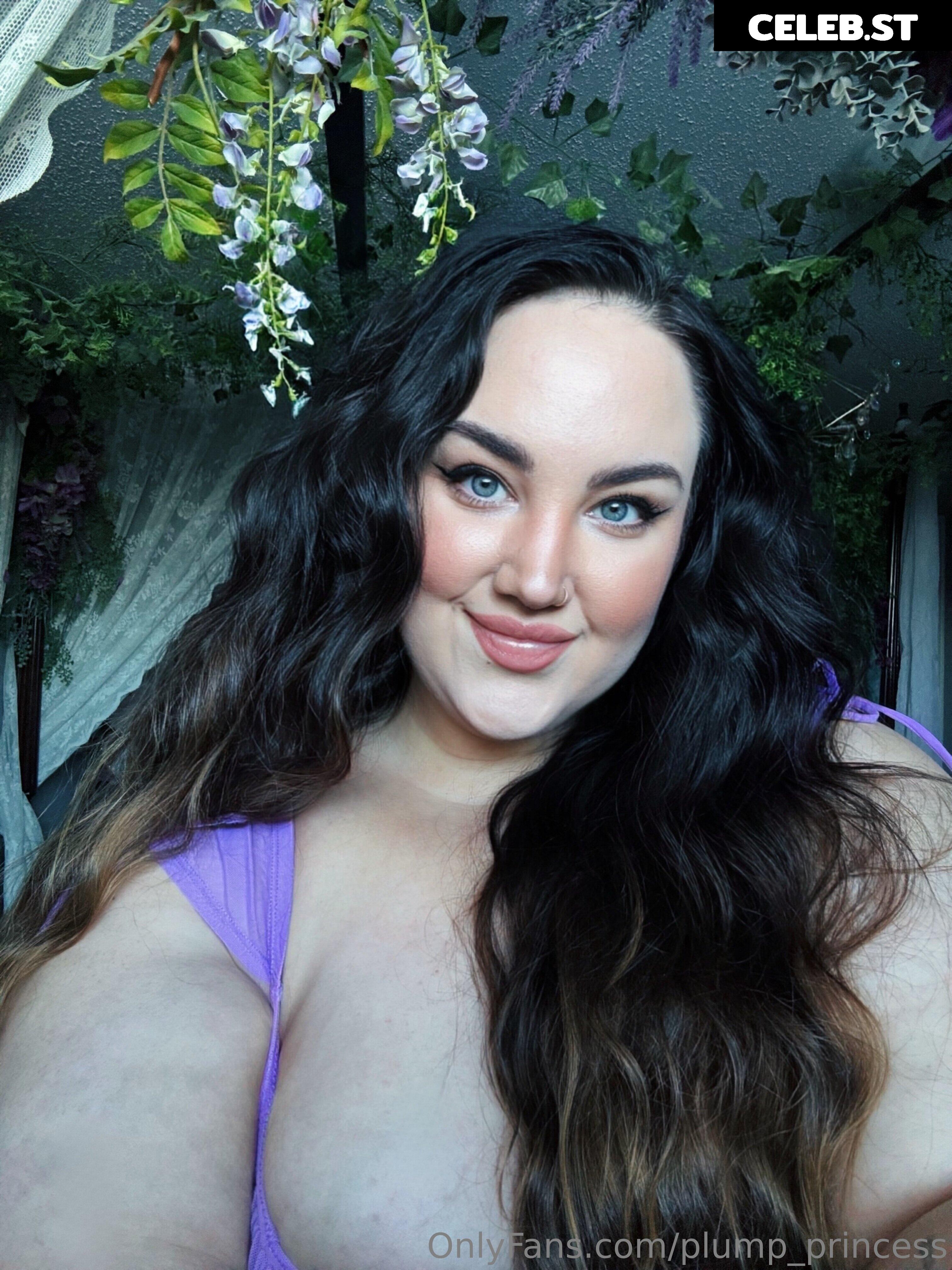 Plump Princess Image 9816467