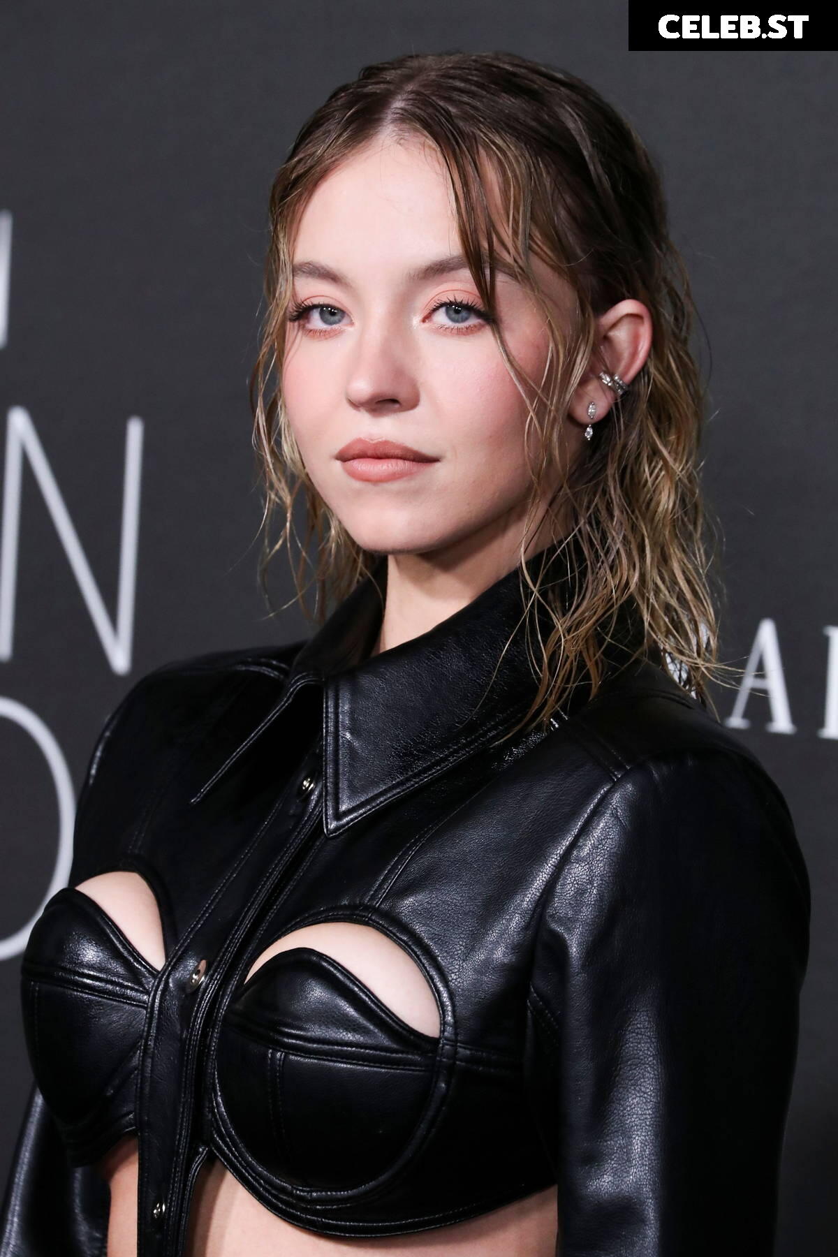 Sydney Sweeney Image 9816667