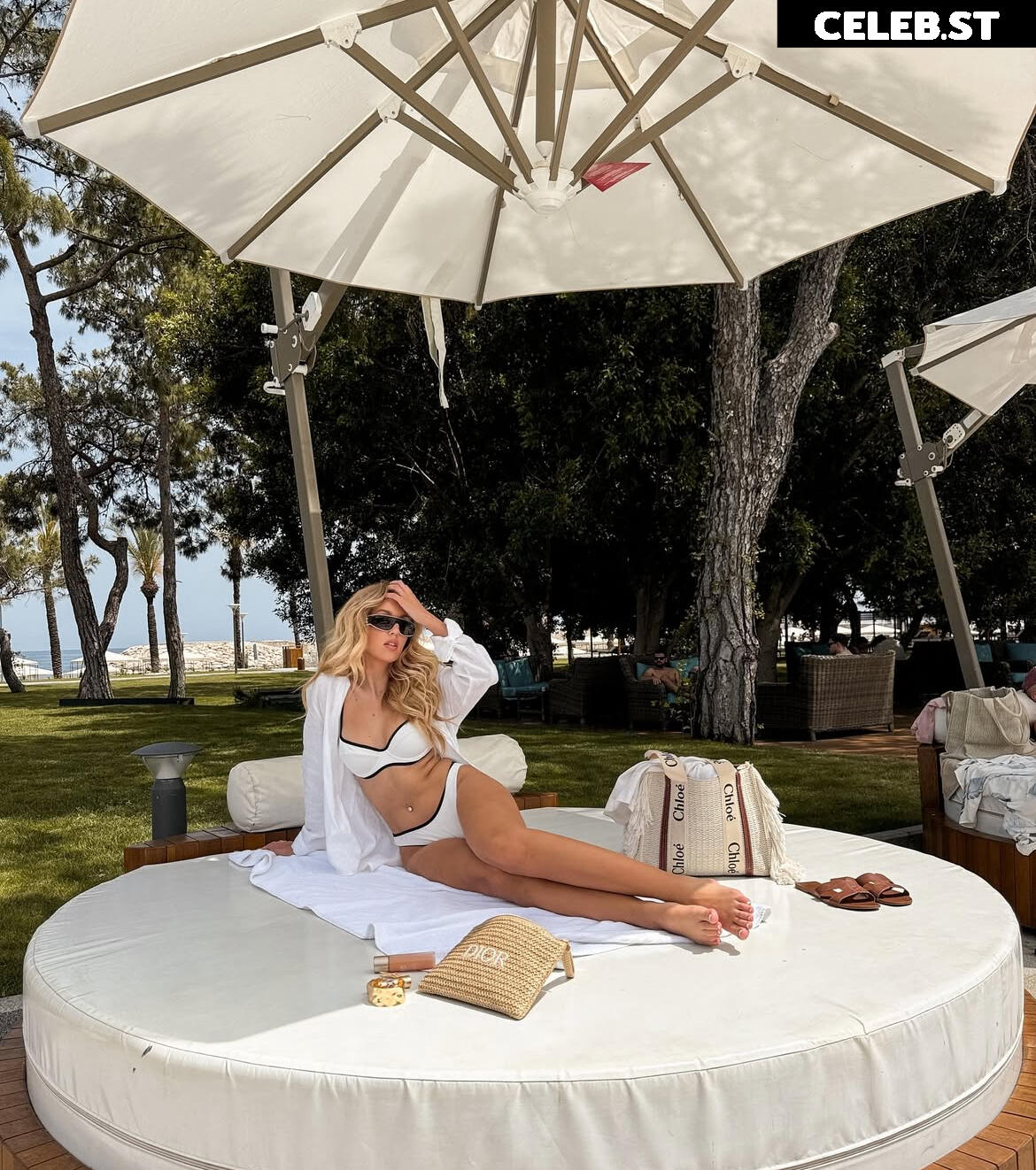 Lourene Gollatz Image 9805933