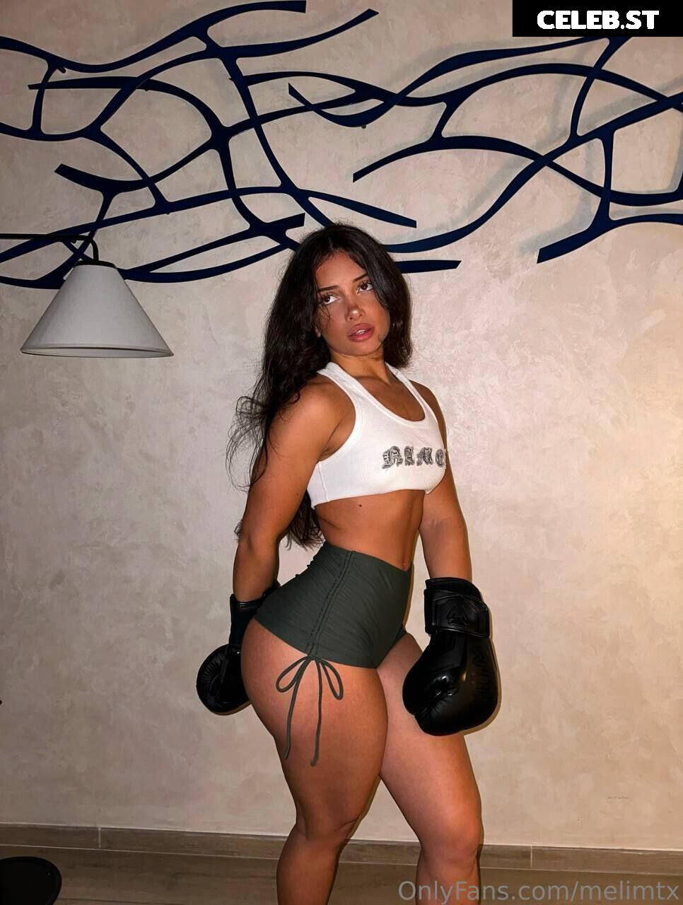 MelimTX Image 9800465