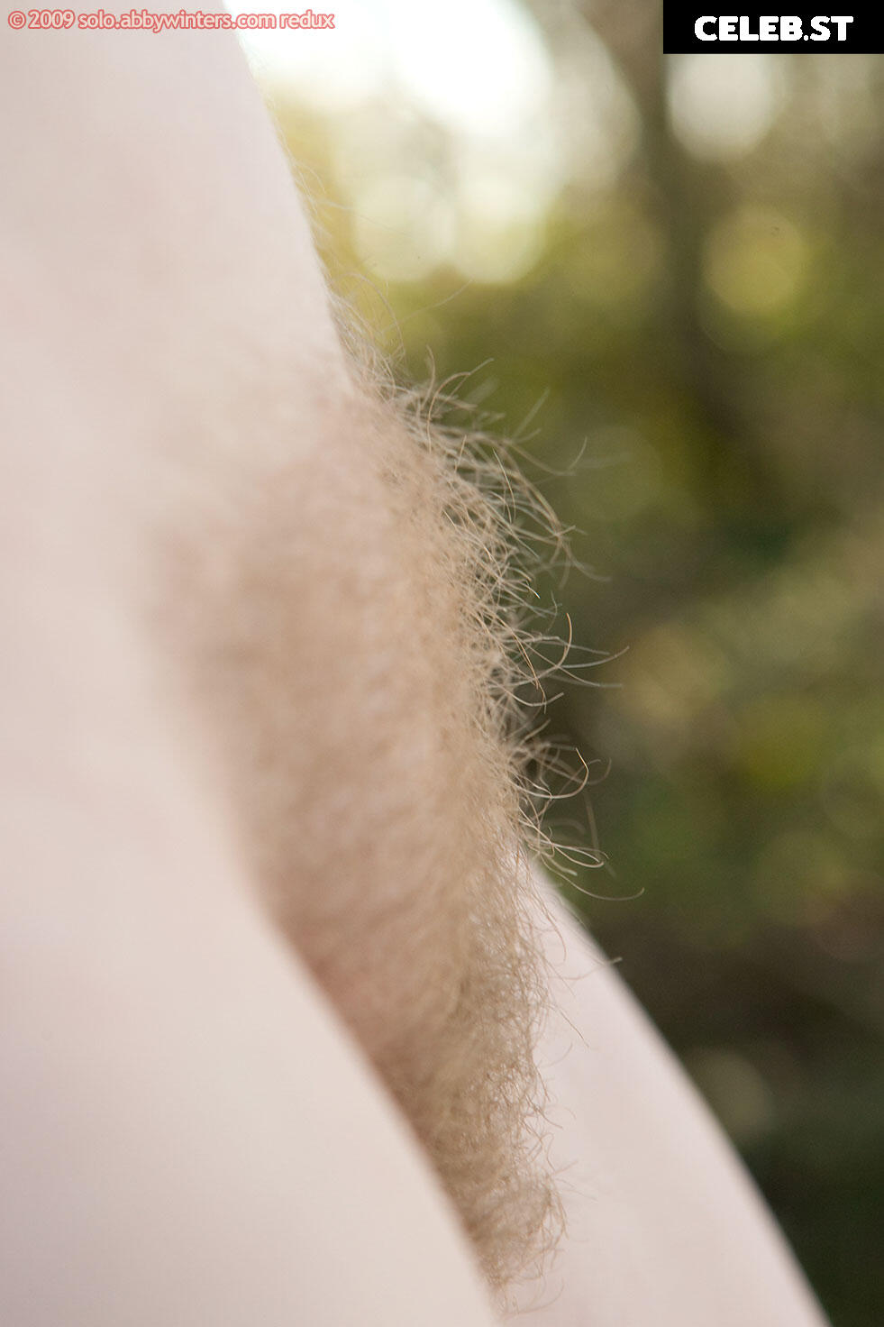Abbywinters Image 9991855