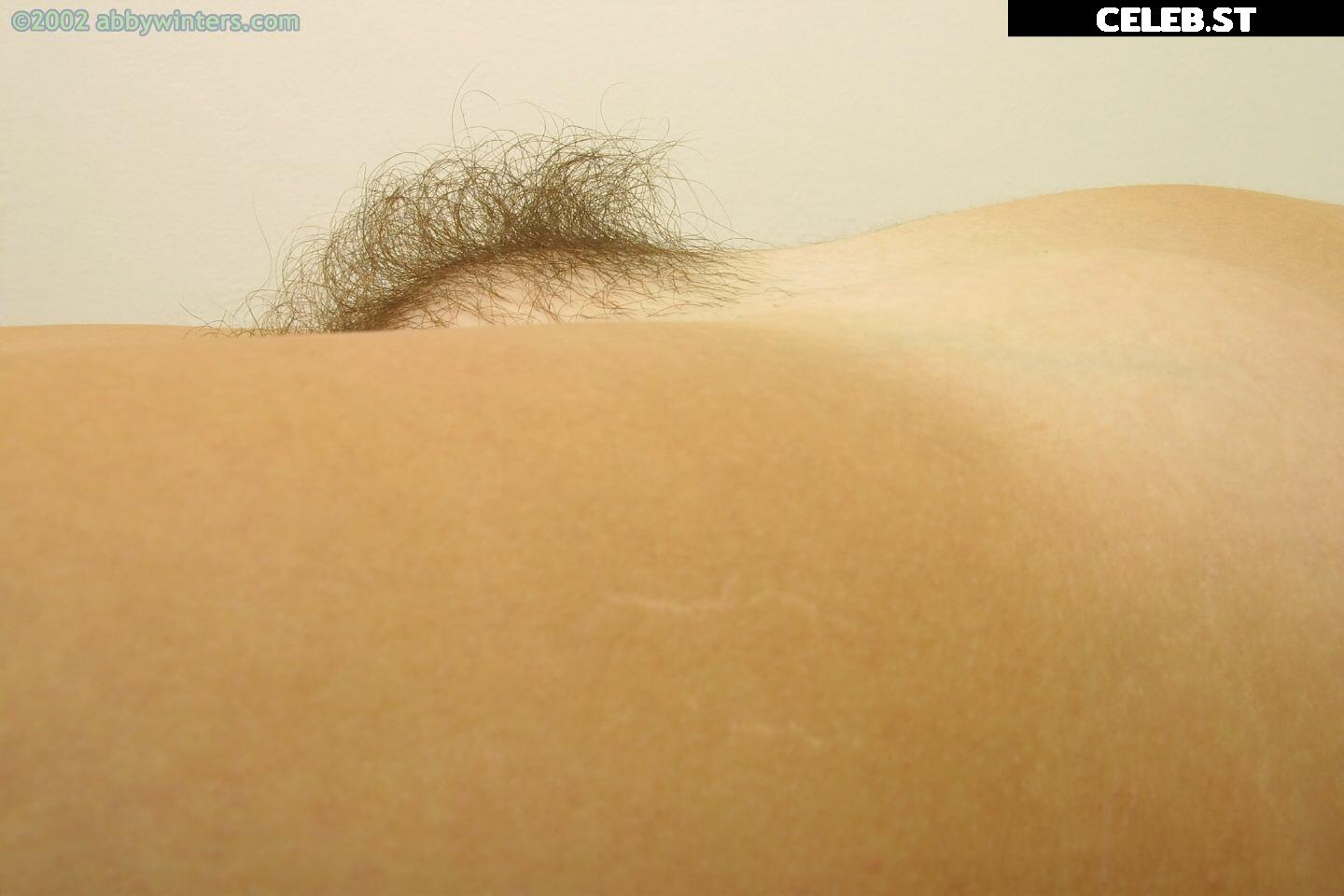 Abbywinters Image 9984598