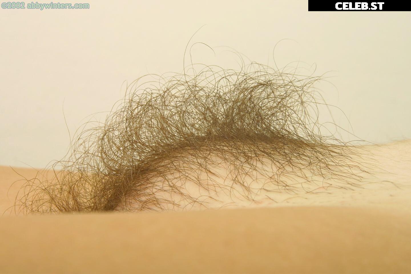 Abbywinters Image 9984597