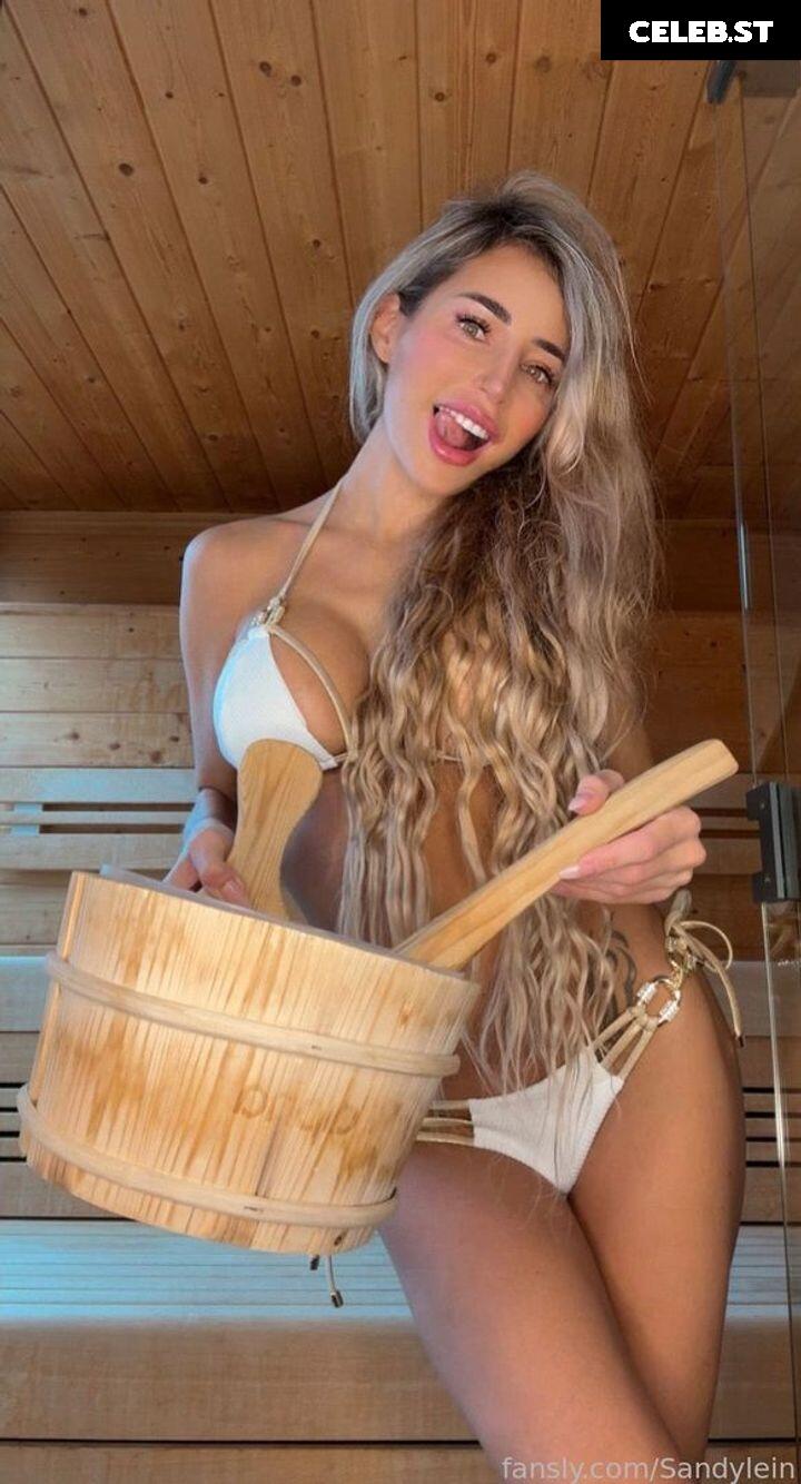 Sandylein Image 9970457