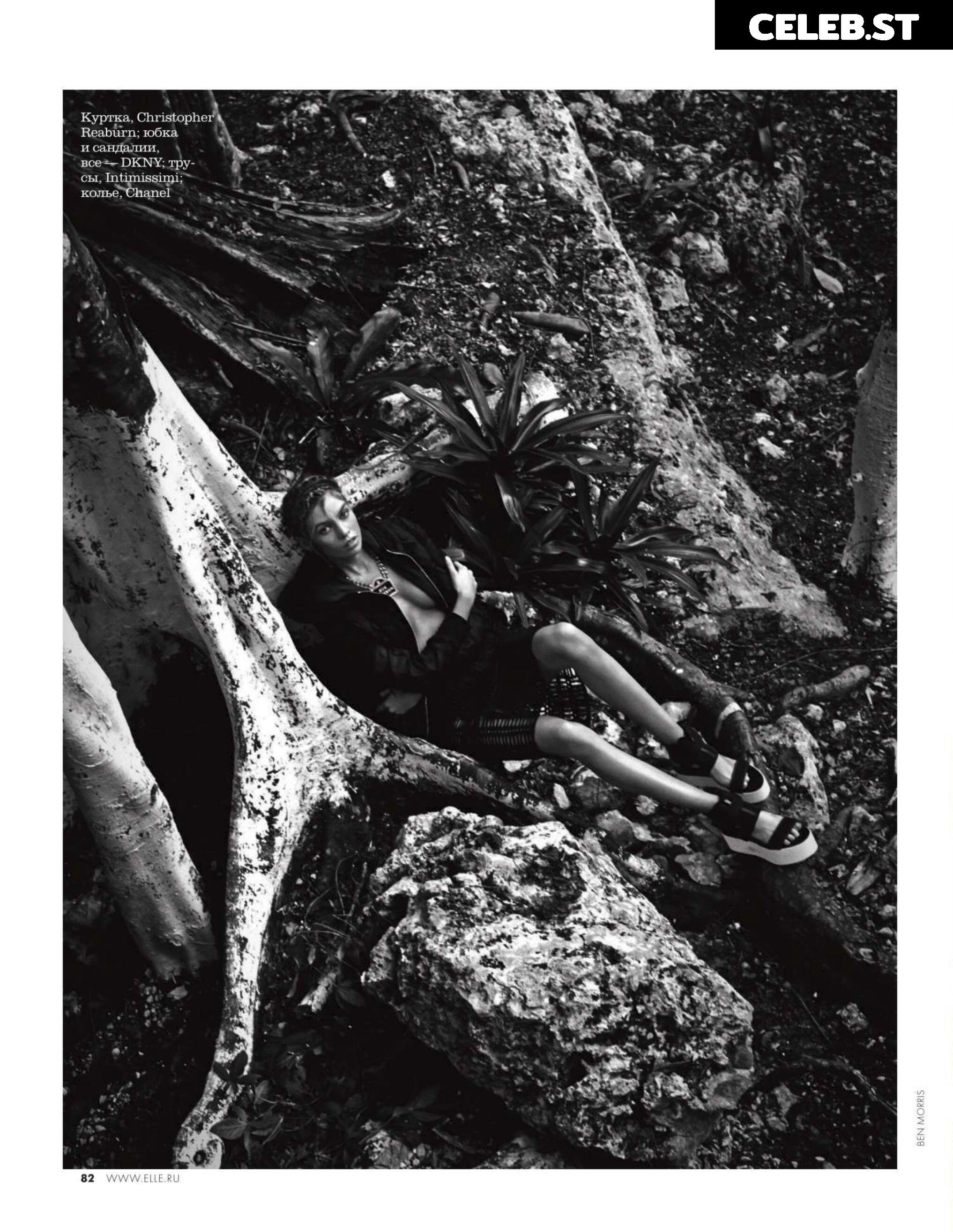 Stella Maxwell Image 9956551