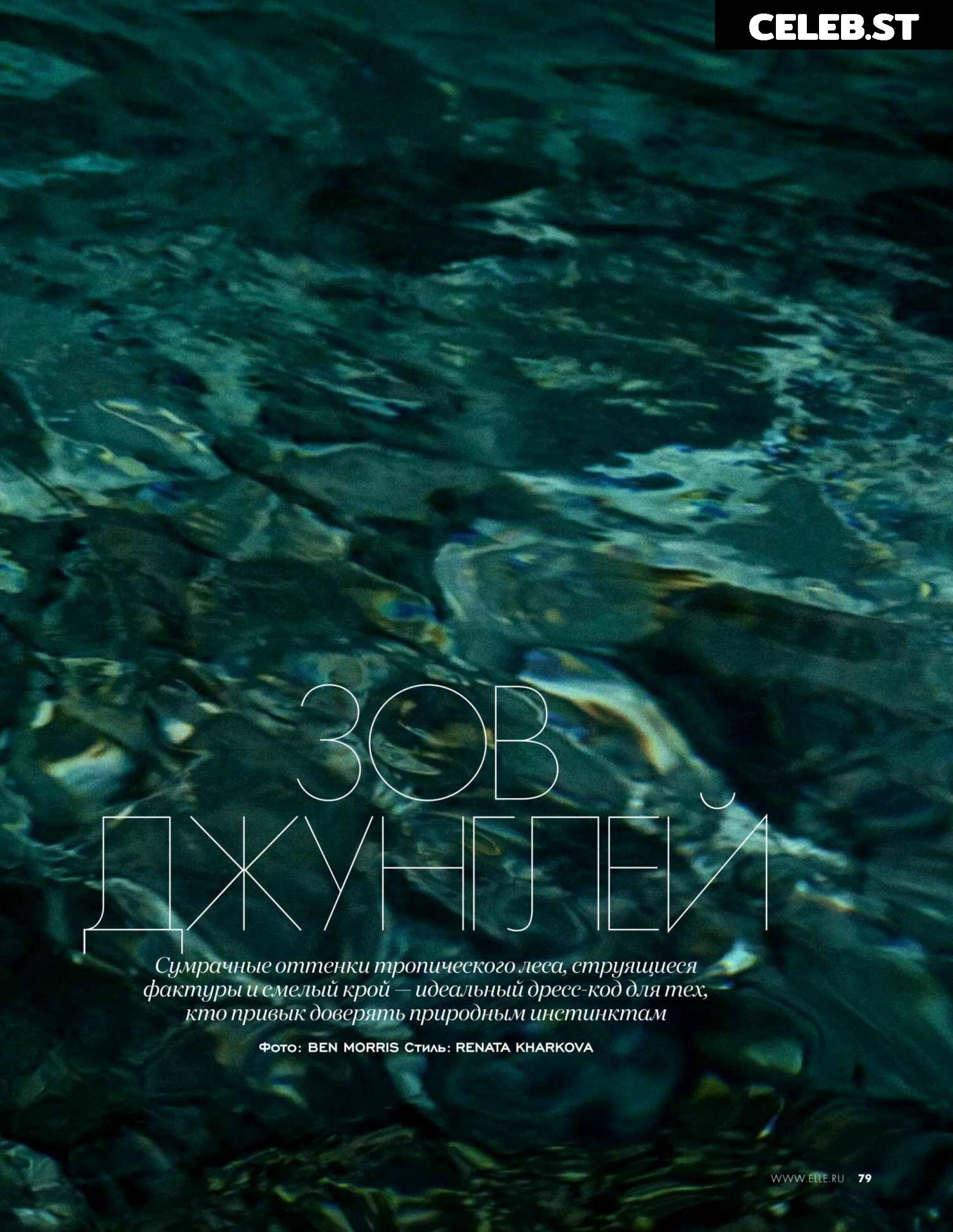 Stella Maxwell Image 9956554