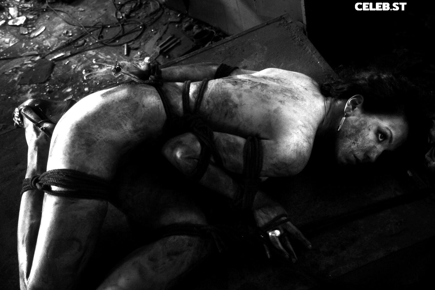 Calvato Photography - Patreon Image 9958533