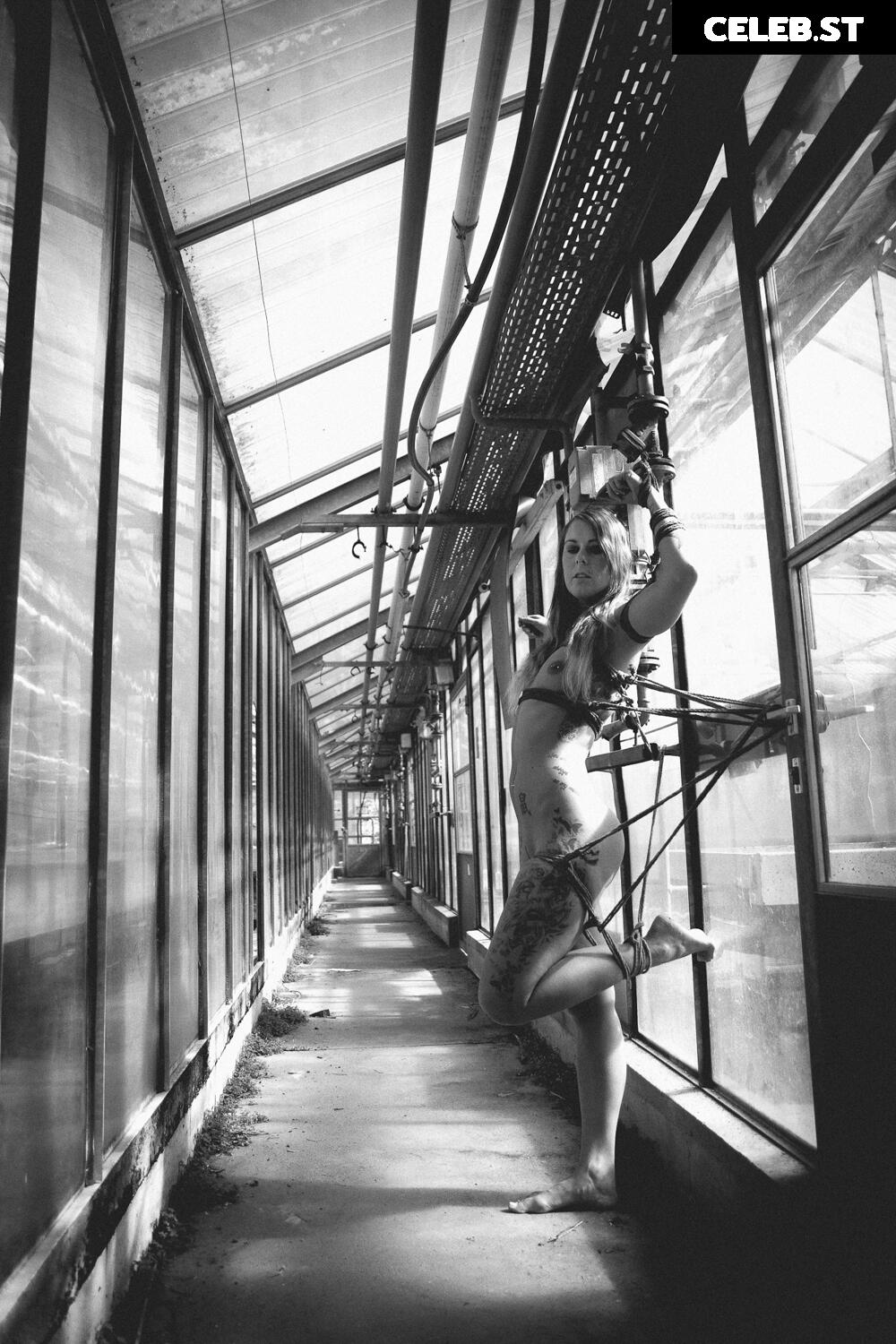 Calvato Photography - Patreon Image 9958671