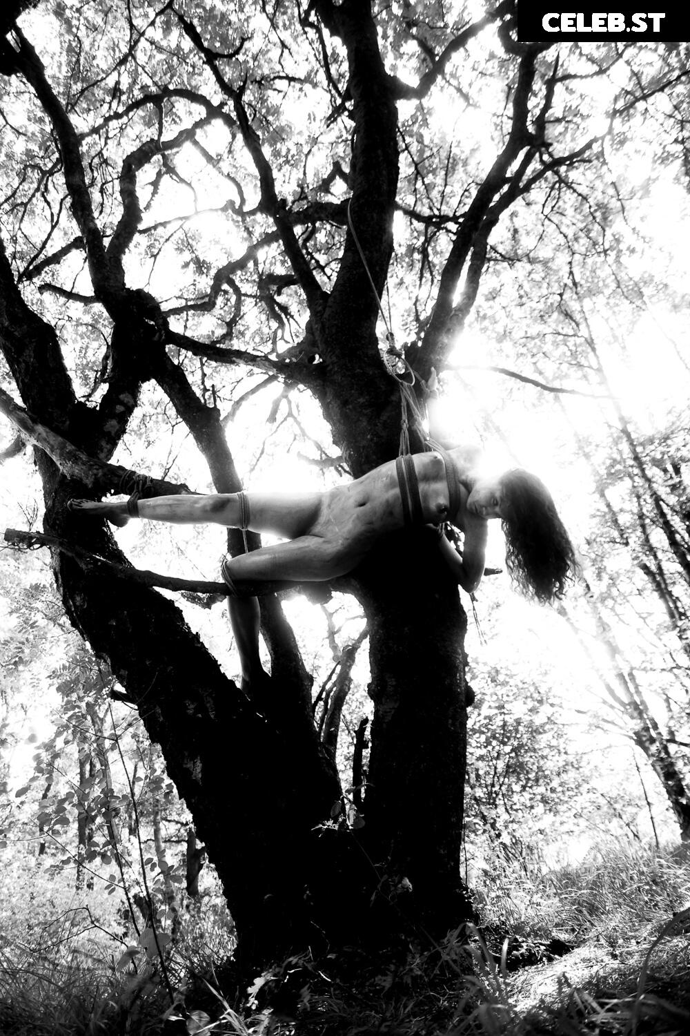 Calvato Photography - Patreon Image 9958613