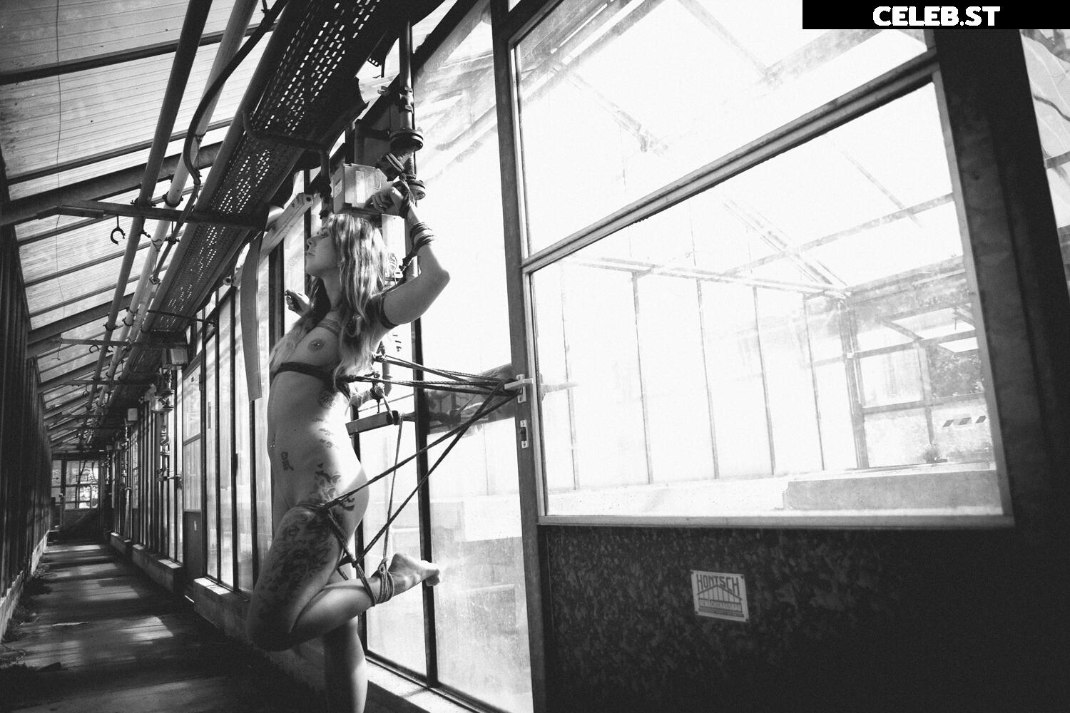 Calvato Photography - Patreon Image 9958631