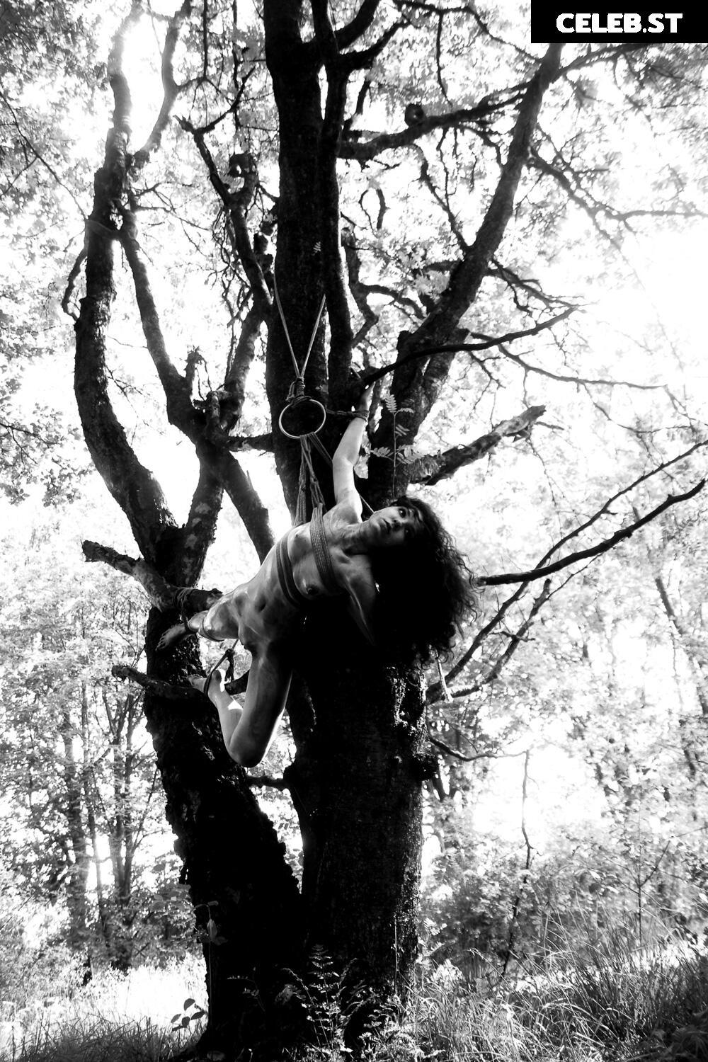 Calvato Photography - Patreon Image 9958629