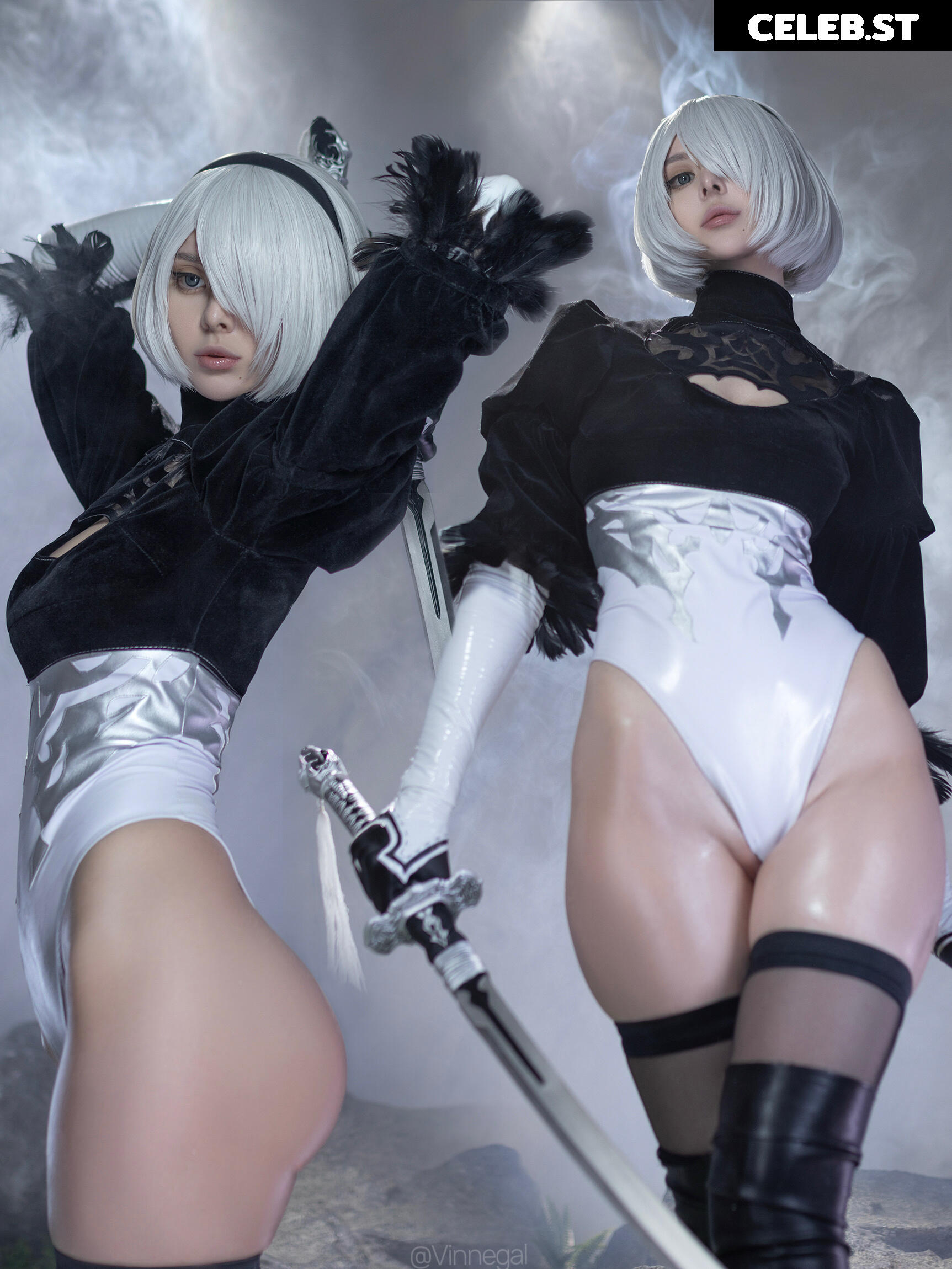 Vinnegal Image 9943884