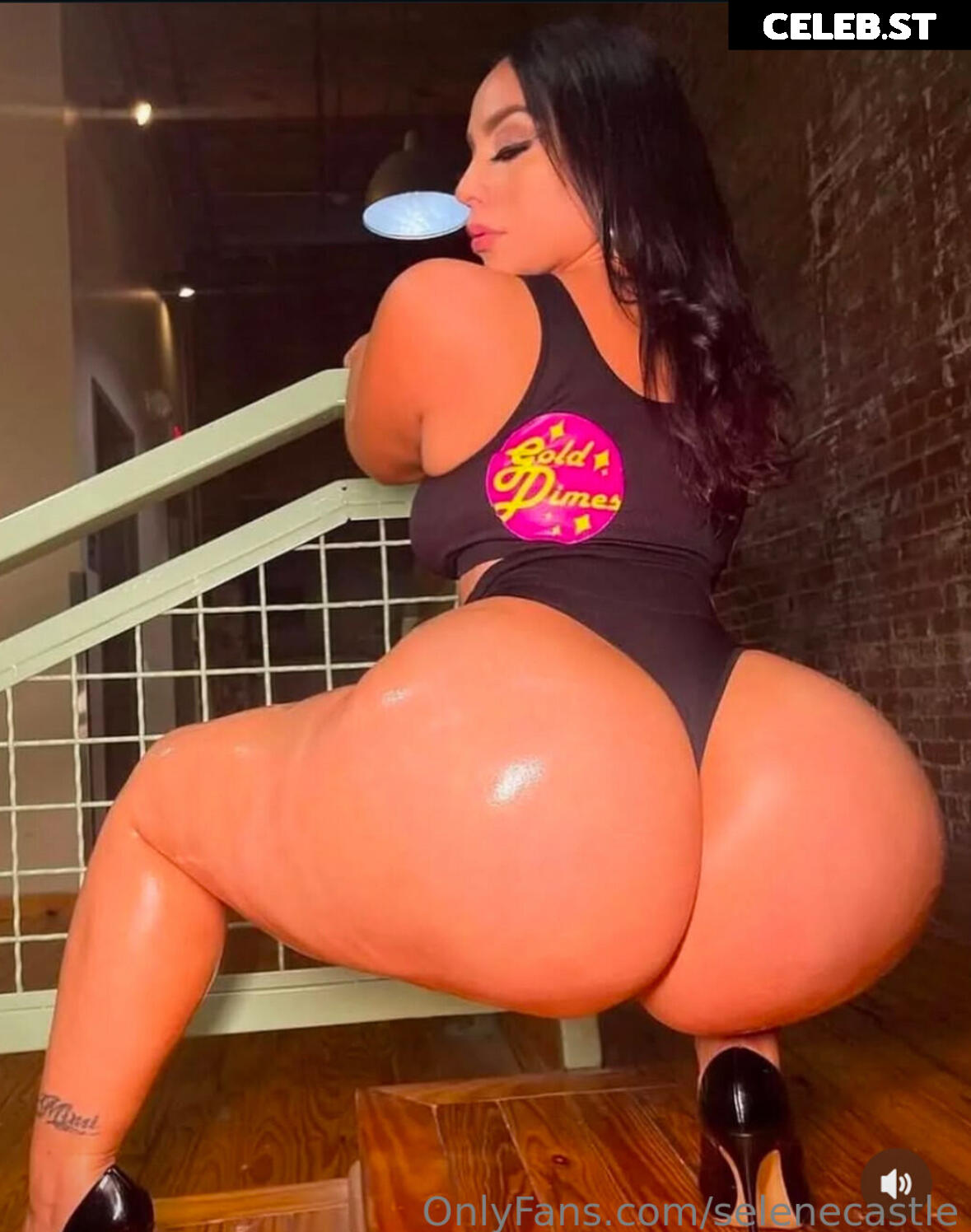 Selene Castle Image 9932743