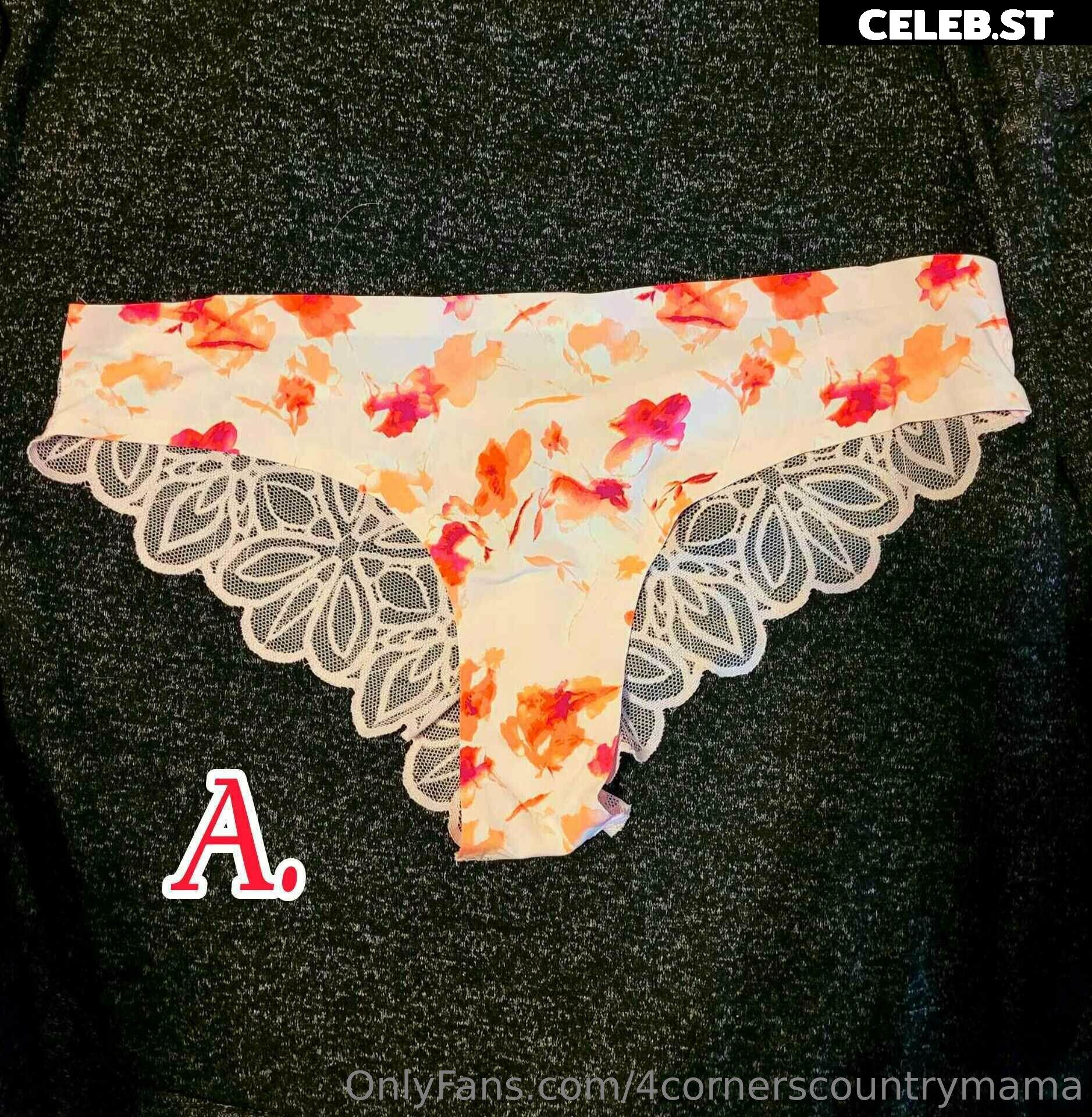 4cornerscountrymama Image 9692485