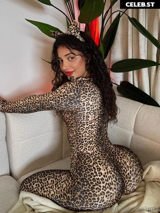 MelimTX Image 9794354