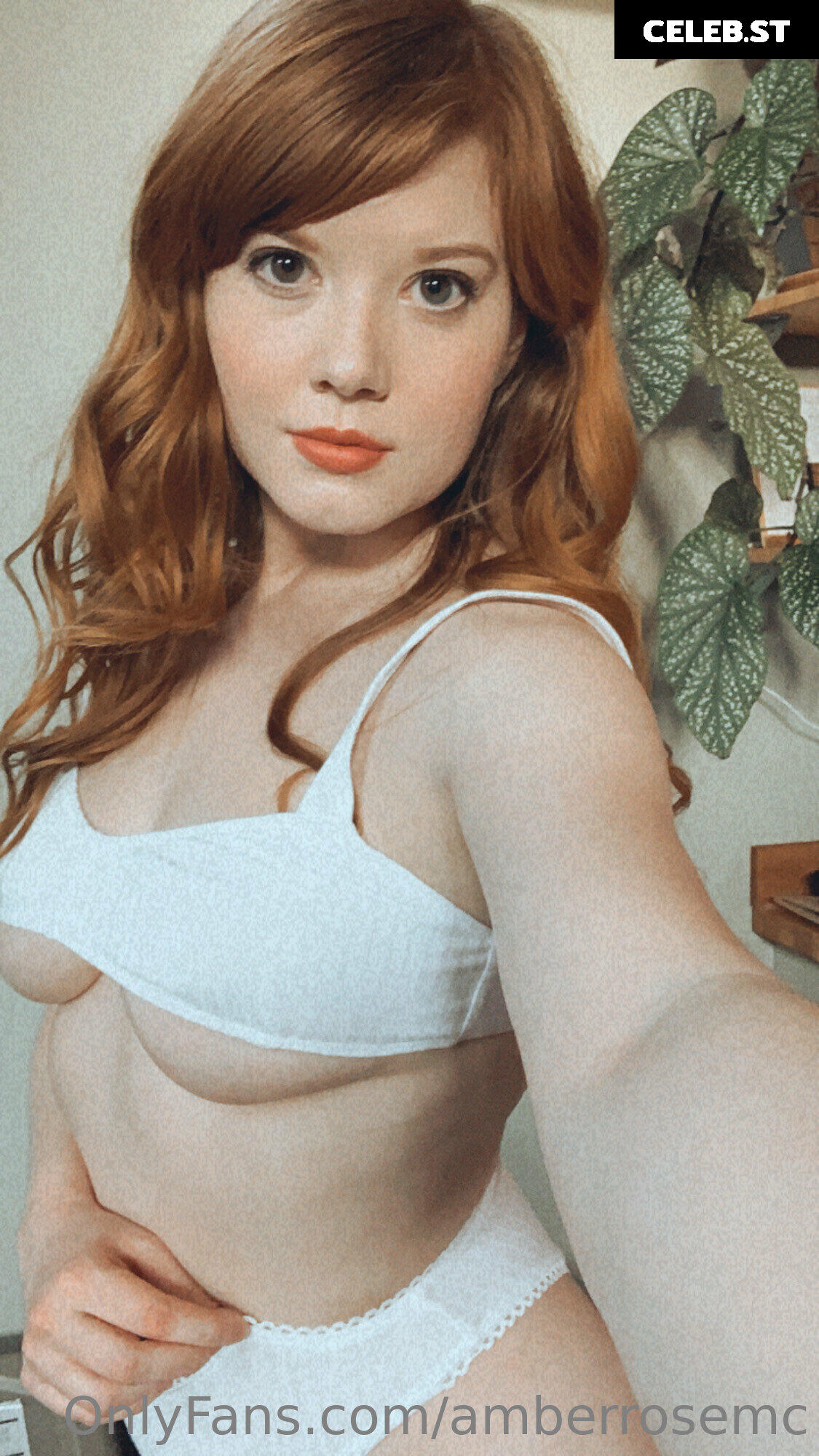 amberrosemc Image 9791928