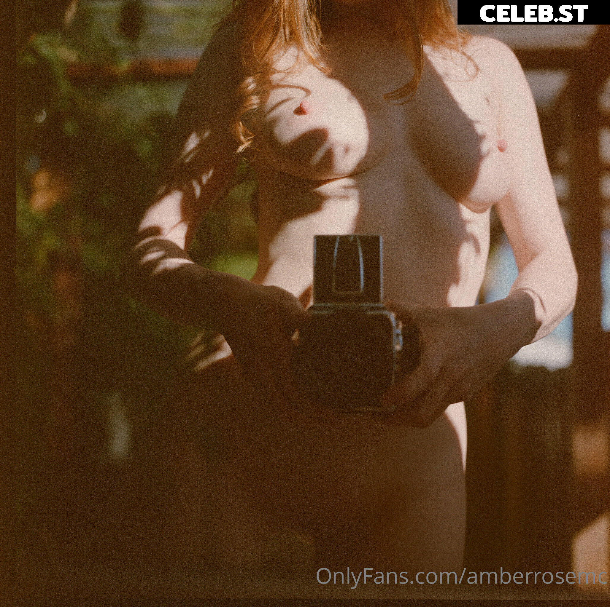 amberrosemc Image 9792452