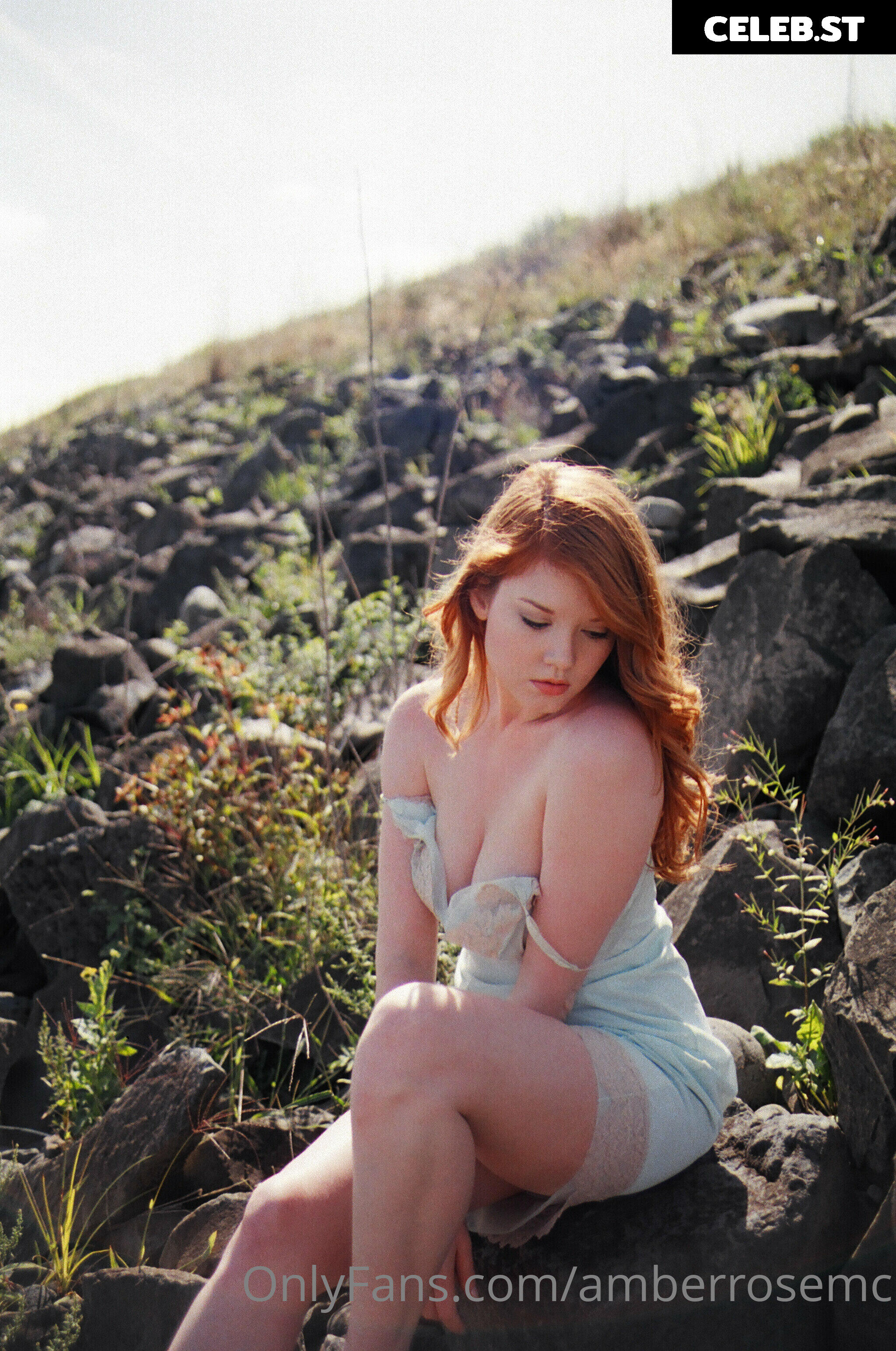 amberrosemc Image 9792320