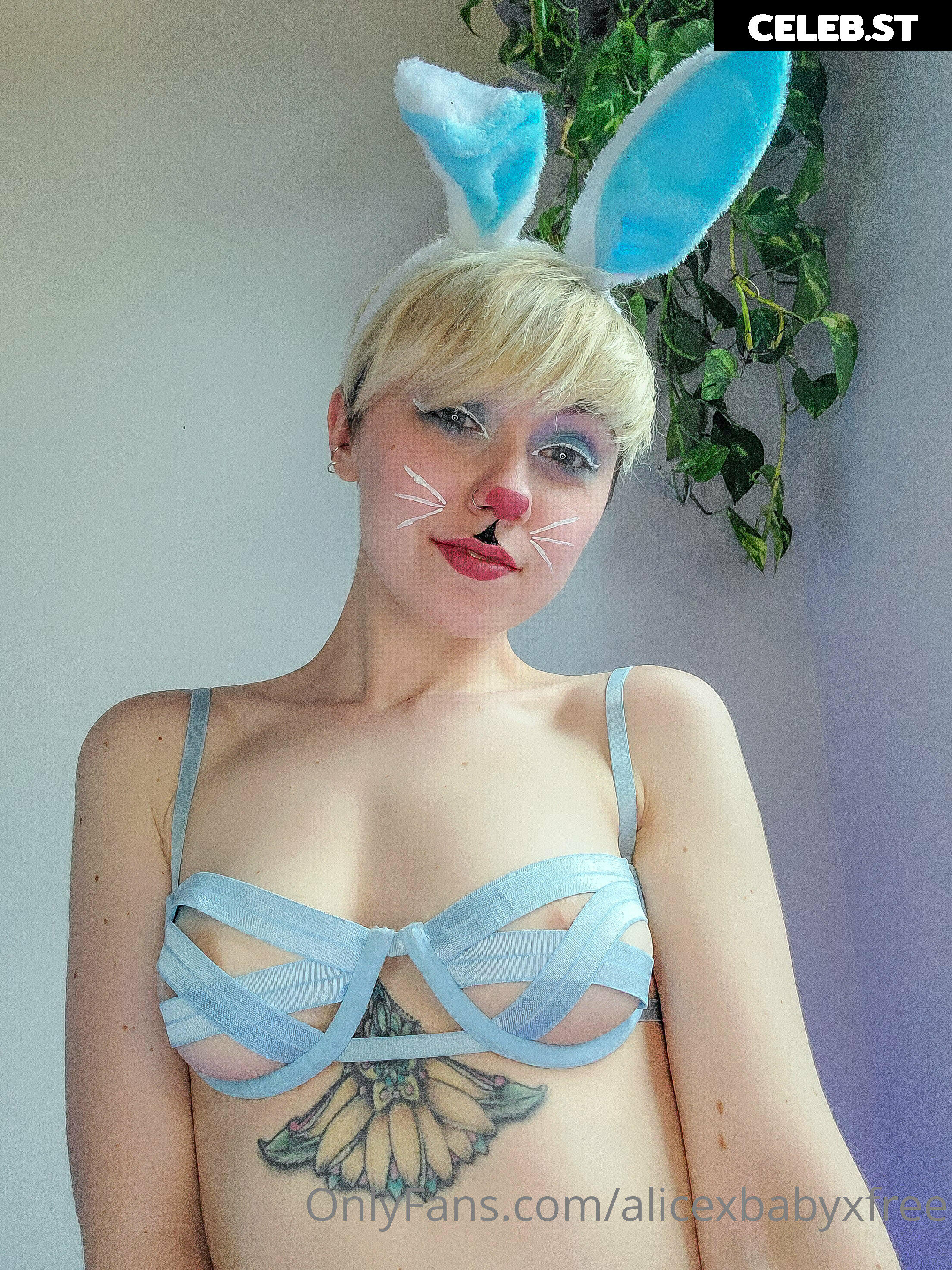 alicexbabyxfree Image 9760663