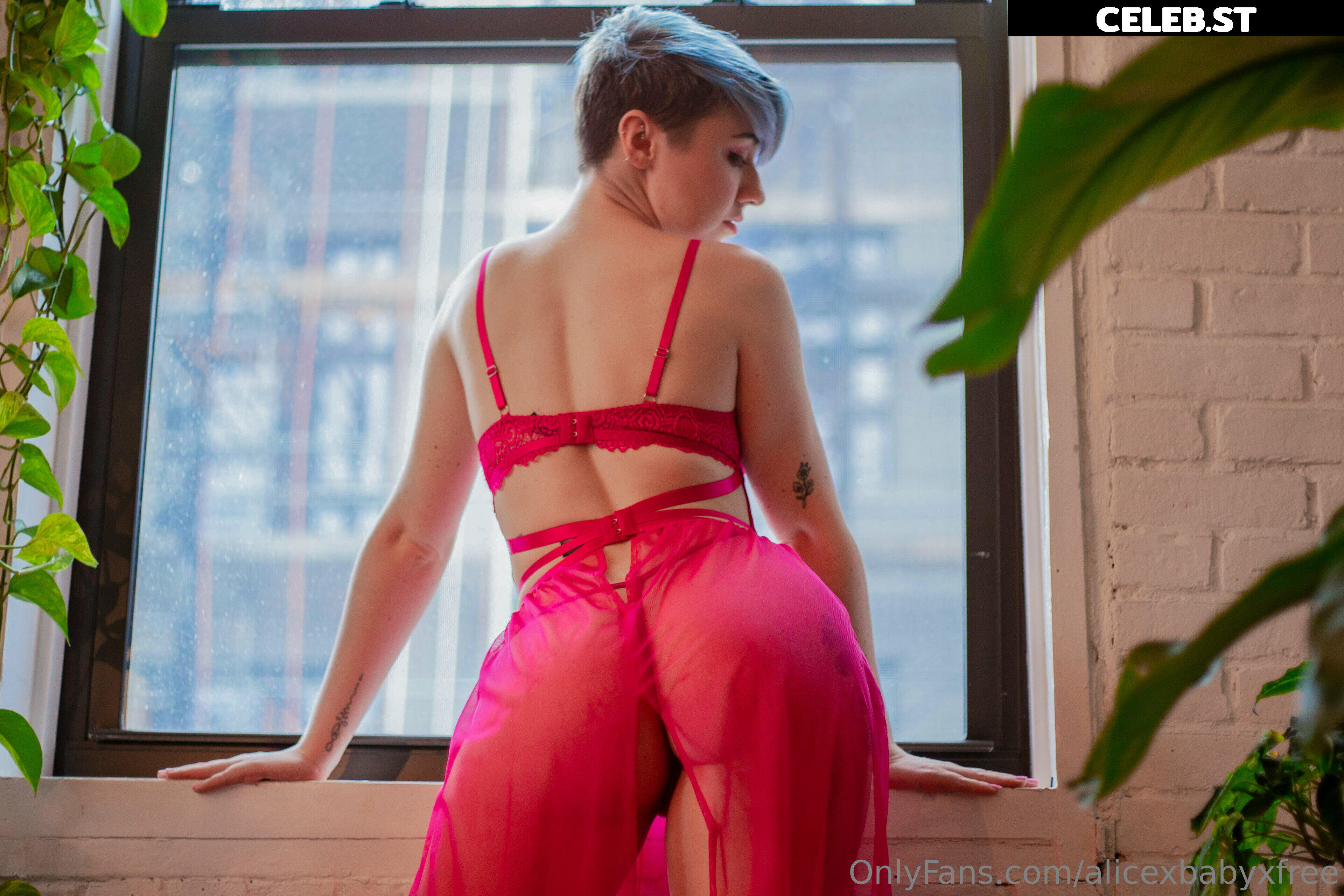 alicexbabyxfree Image 9759603