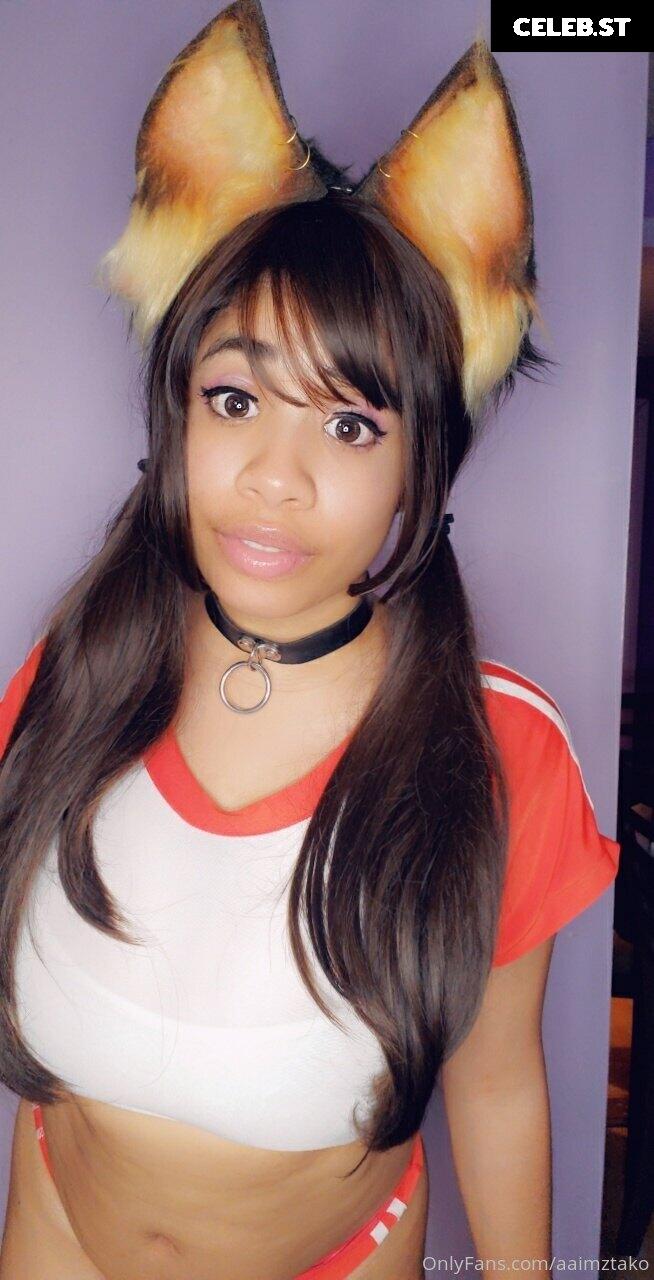 aaimztako Image 9709628