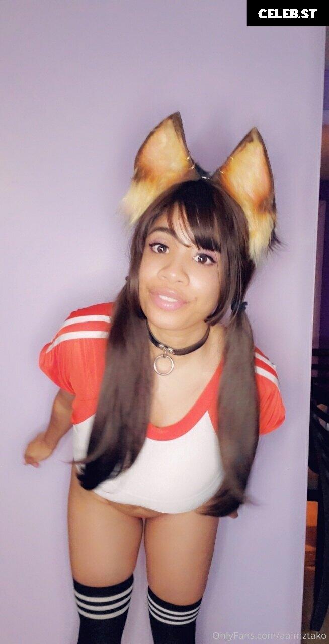 aaimztako Image 9709621