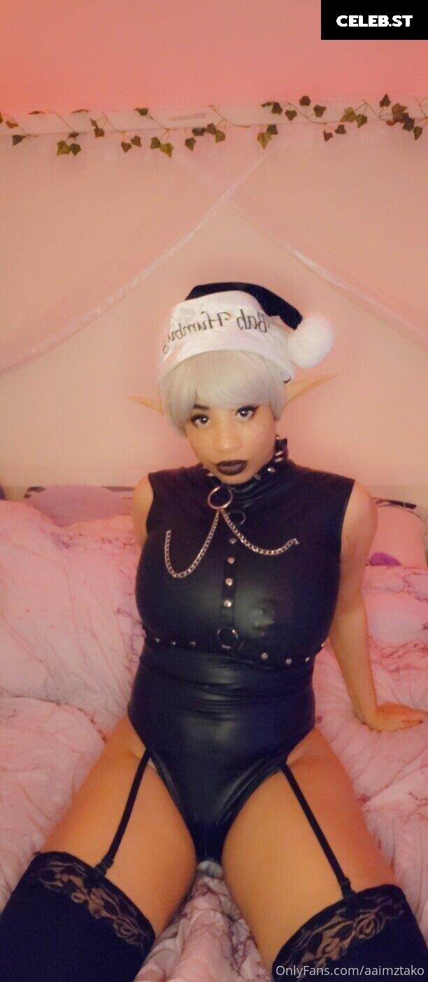 aaimztako Image 9708755