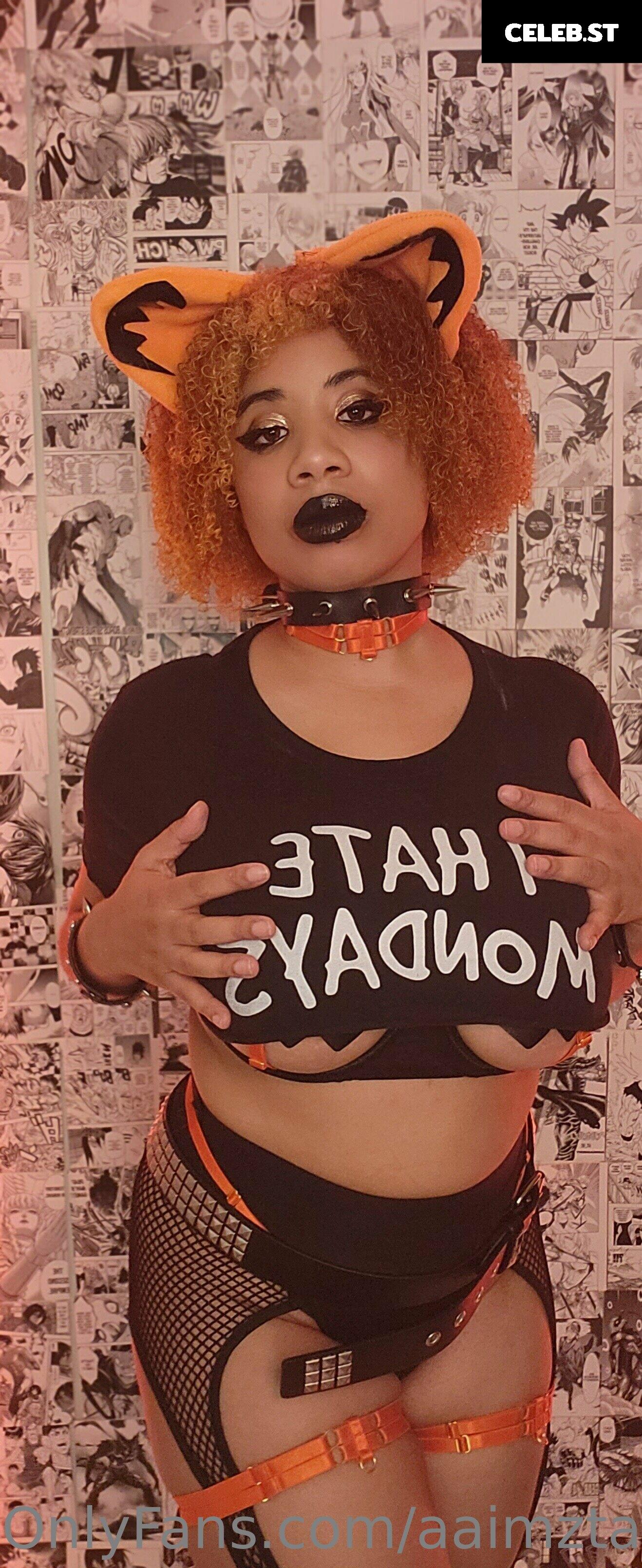 aaimztako Image 9708156