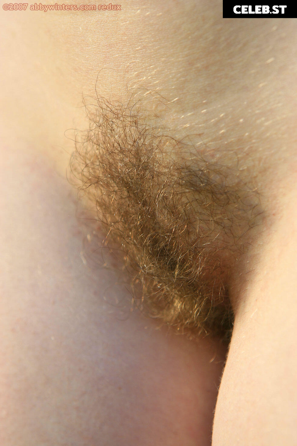 Abbywinters Image 8931510