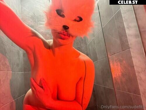 Sudefit Image 876049