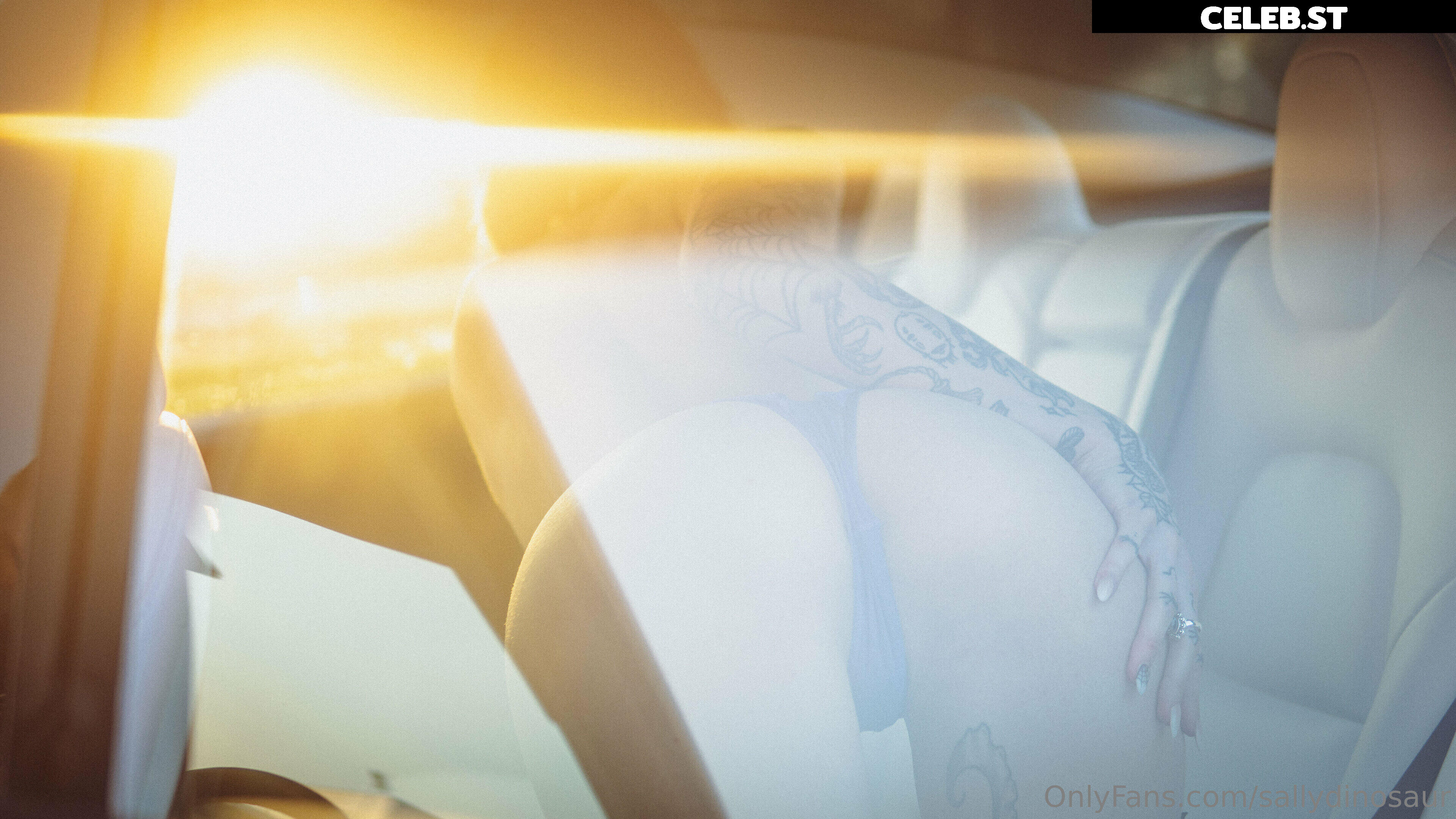 Sallydinosaur Image 2195148