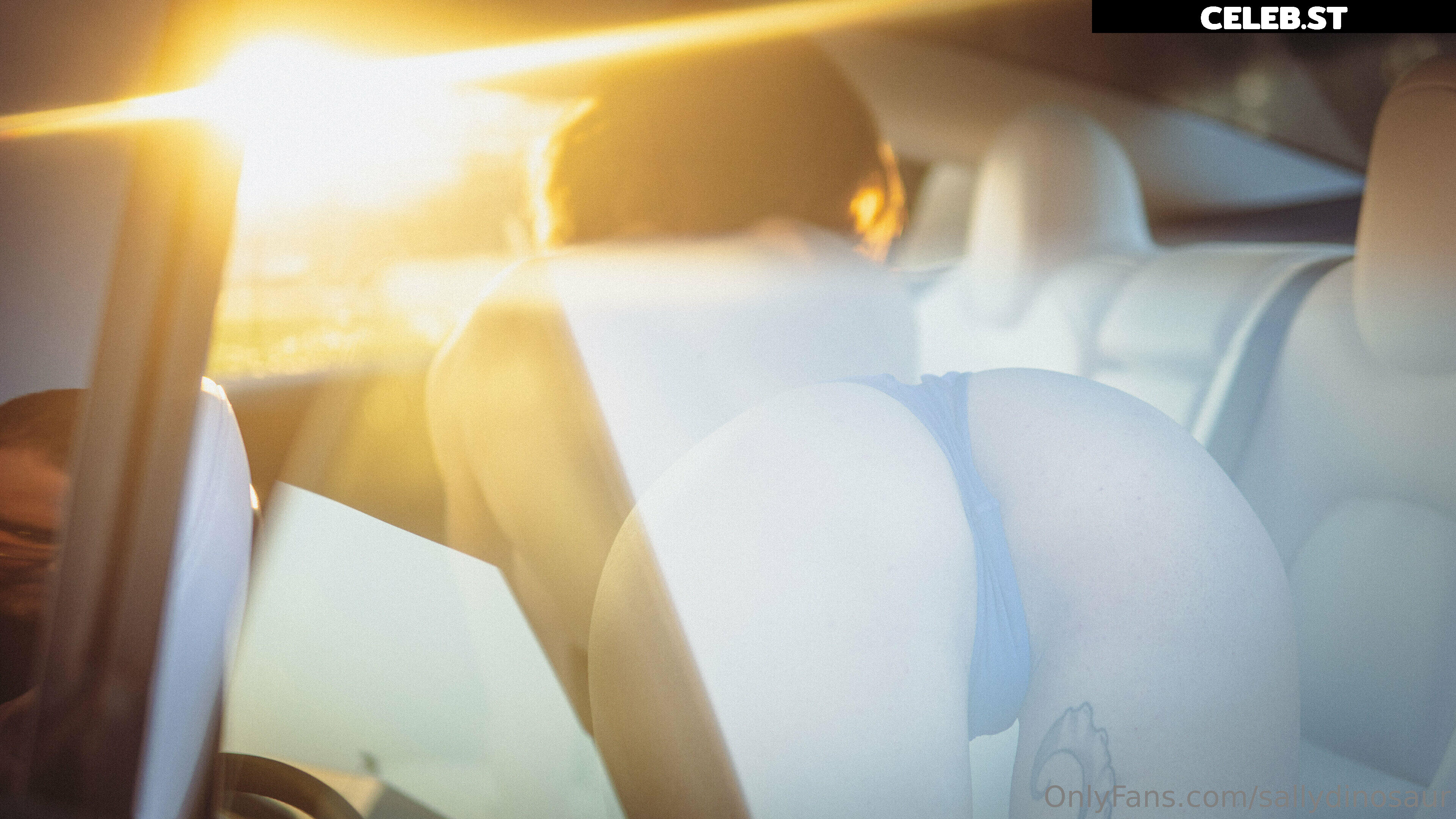 Sallydinosaur Image 2194503